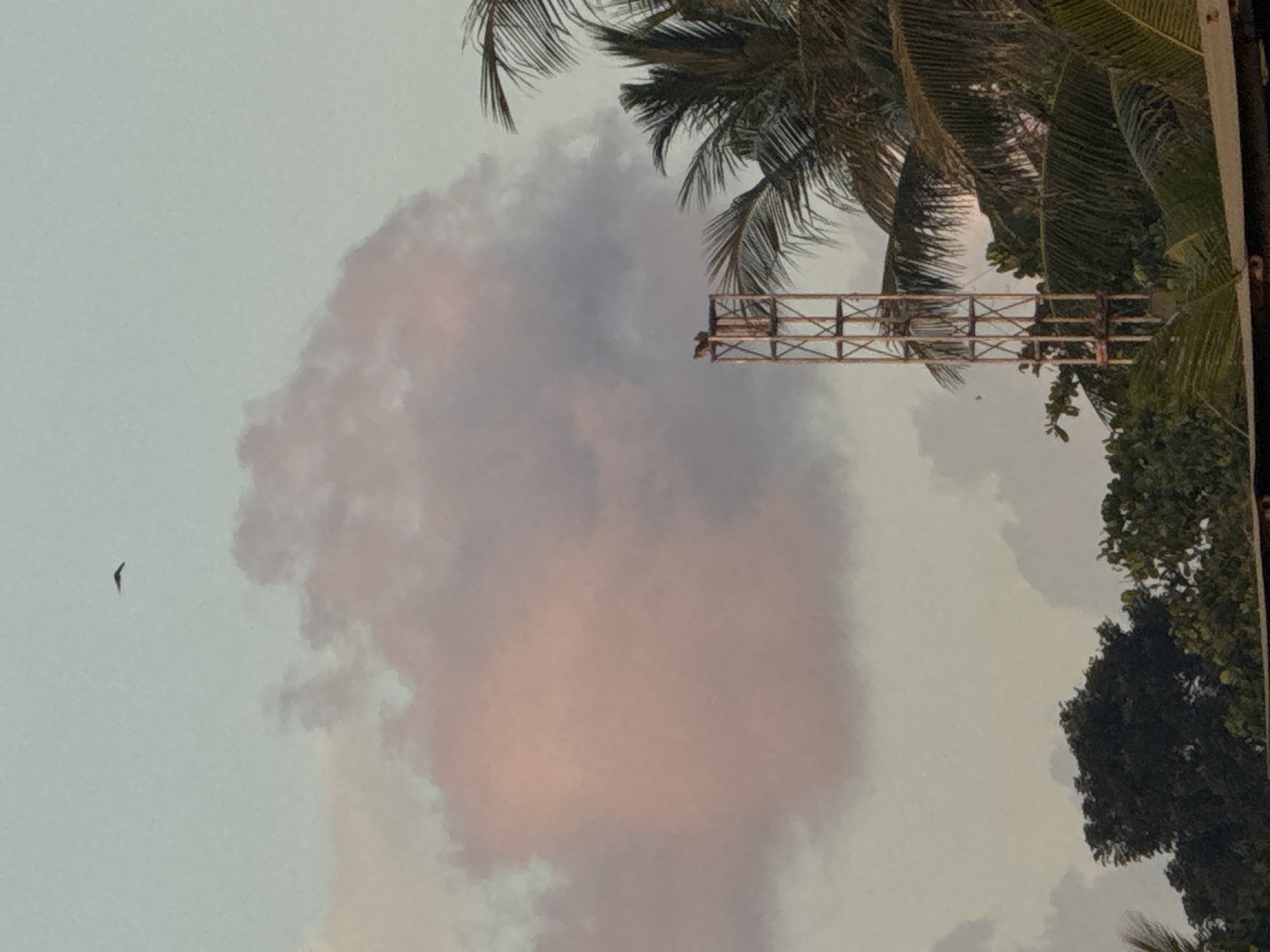 The image shows a cloud formation in Kuta Selatan, Indonesia, with a bird flying in the foreground. Palm trees and a metal structure are visible in the upper right portion of the frame. A person is sitting on top of the metal structure. Other trees are visible to the right of the metal structure. The sky is overcast with a mix of grey and pink hues within the cloud formation.