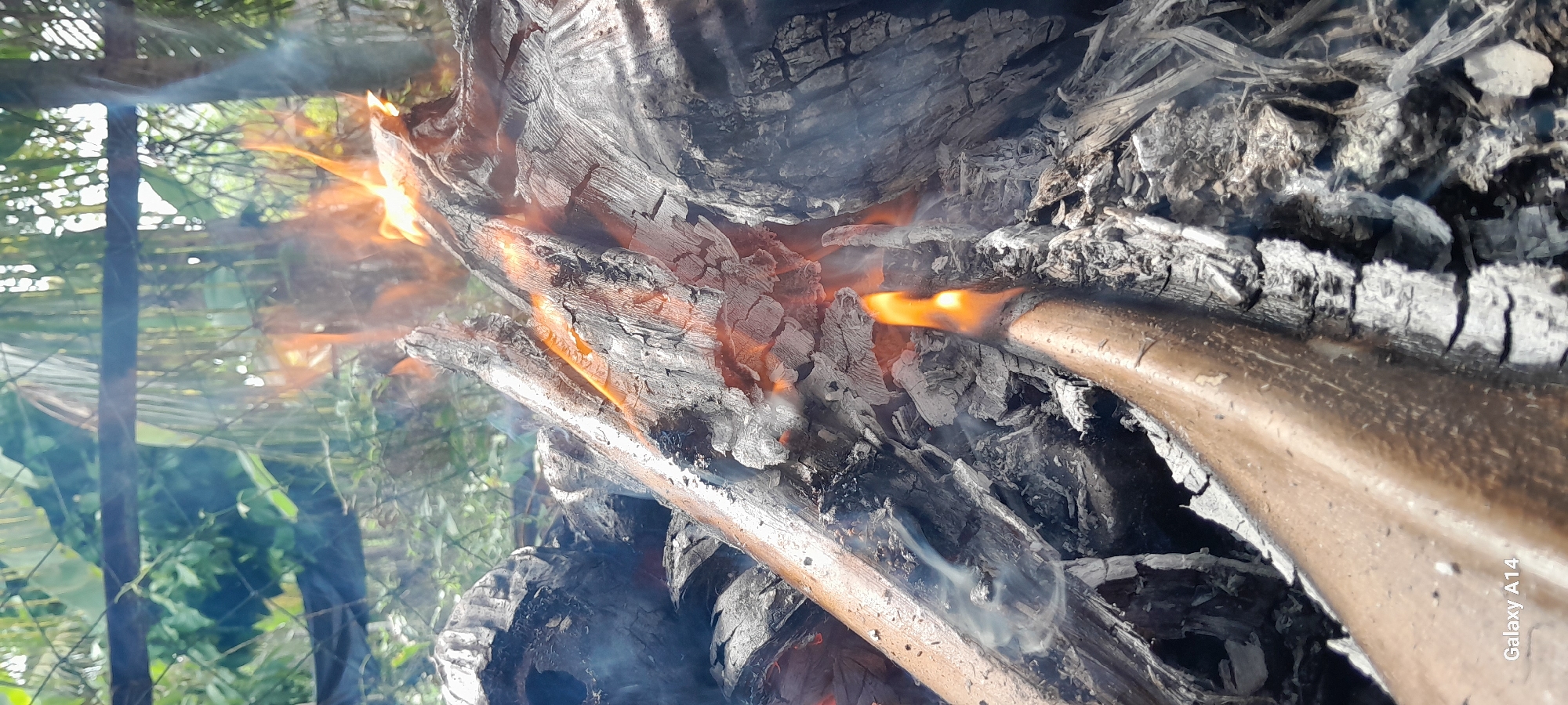An outdoor fire burns within a pile of wood and charcoal, surrounded by greenery and a fence. The flames are bright orange and yellow, with wisps of smoke rising from the embers. The wood is charred and blackened, with some pieces glowing red from the heat. The environment appears to be tropical, with lush vegetation visible in the background. The image was taken at a close-up perspective, focusing on the fire and its immediate surroundings. The bottom left corner of the image displays "Galaxy A14" indicating it was captured by a Samsung Galaxy A14 phone.