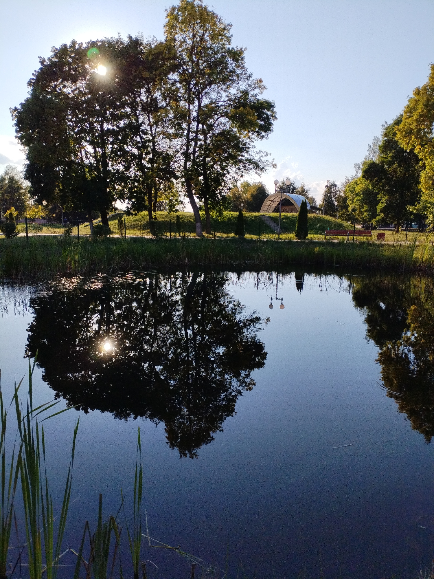 The image depicts a tranquil park scene in Bialynichy, Belarus, with a calm body of water in the foreground. Tall trees, with the sun shining through their leaves creating a dappled light effect, line the far bank of the water. Their reflections are clearly visible on the water's surface, along with reeds growing along the edge of the pond. In the background, a grassy hill is dotted with more trees and features a covered pavilion or gazebo with a curved roof, illuminated by several globe-shaped lights. A park bench is visible near the pavilion. The sky is clear and blue, with a few wispy clouds. The overall impression is one of a serene, natural environment within an urban setting.