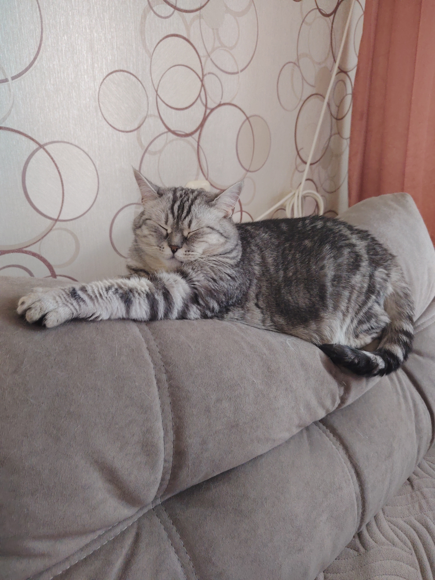 A medium shot shows a tabby cat sleeping soundly on a soft, tufted, beige sofa. The cat is positioned on its side, with its front left paw extended forward and resting on the surface of the sofa. Its eyes are closed, and its head is tilted slightly. The cat's fur is a mix of grey and black stripes. The background features a light-colored wallpaper with a pattern of overlapping brown circles and a portion of a peach-colored curtain on the right side of the image. A white cord is also visible hanging against the wallpaper. The lighting appears to be natural, coming from the right side of the frame, casting soft shadows. The overall scene suggests a peaceful and comfortable domestic setting.