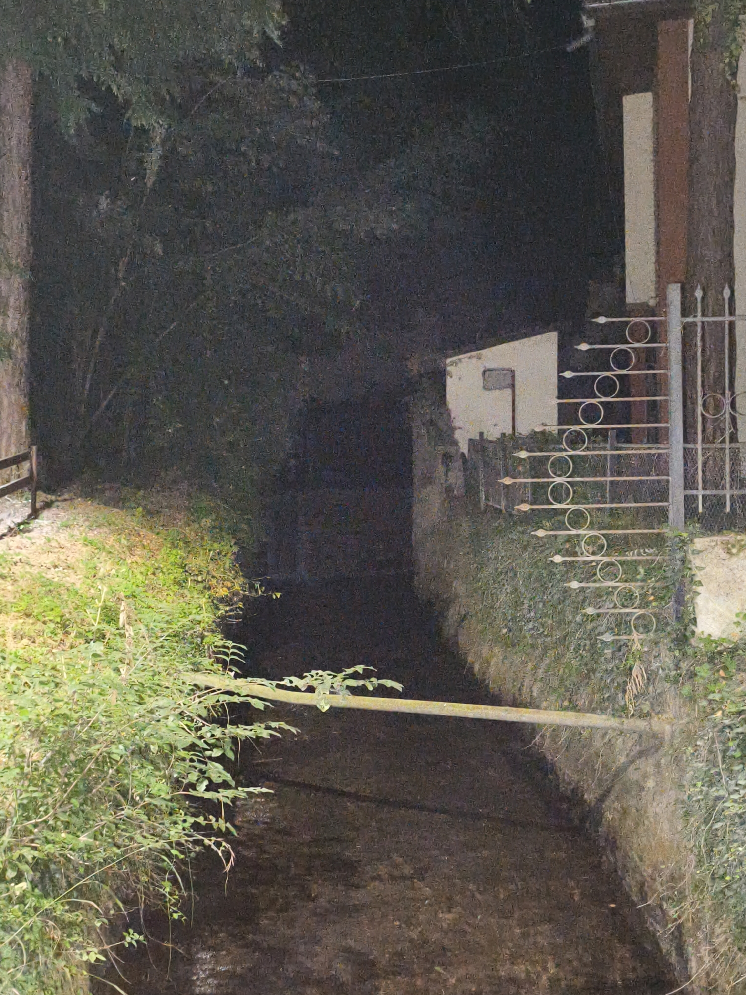 The image shows a narrow, dark waterway in a dense, overgrown urban environment. A rough wooden plank spans the waterway at mid-frame. On the right bank, a stone wall is covered in ivy, and a decorative metal fence with circular motifs runs along the top of the wall. Behind the fence, there is a building with a white facade and brown and beige vertical elements. The left bank is a steep, grassy slope with dense green foliage and a rustic wooden fence at the top. The overall atmosphere is dark and somewhat foreboding, possibly indicating a nighttime or shadowed scene. The location appears to be a secluded, somewhat neglected section of a city, with the waterway likely serving as a drainage channel or a small river. Based on the provided context, this waterway is located in the city of Lovech, Bulgaria, and is a part of the Osam River.