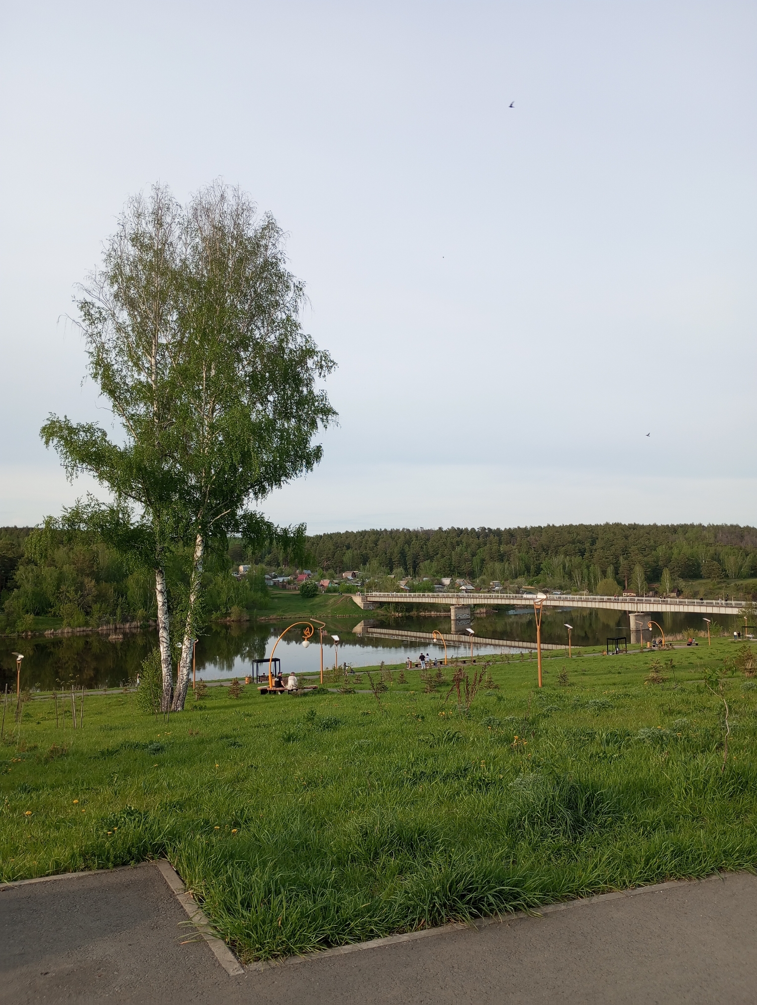 The photograph captures a tranquil scene in what appears to be a park or recreation area within the city of Kamensk-Uralsky, Russia. In the foreground, lush green grass transitions into a paved pathway. A birch tree with distinctive white bark stands prominently to the left.
Beyond the grassy area, there's a body of water, likely a river or lake, reflecting the surrounding vegetation and the sky. A bridge spans the water in the middle distance, connecting the near and far sides. The shoreline is dotted with benches, decorative lampposts, and landscaping, suggesting a well-maintained public space.
In the distance, a dense forest line is visible, providing a natural backdrop to the scene. The sky is clear and pale, indicating either early morning or late afternoon light.
Two people are situated on a bench near the water. The absence of any significant activity lends a sense of peace and quiet to the overall setting.