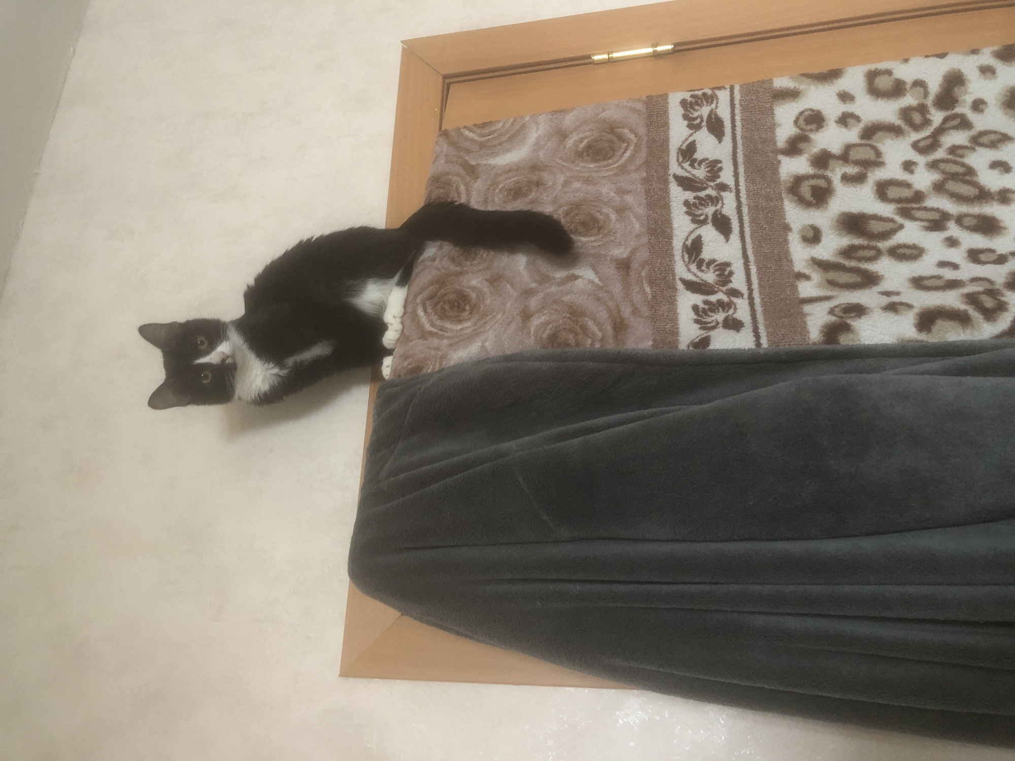 A black and white cat is perched on top of a doorway or a structure covered with patterned fabrics and a gray blanket. The wall behind the cat is beige. The location is Nyagan, Russia.
