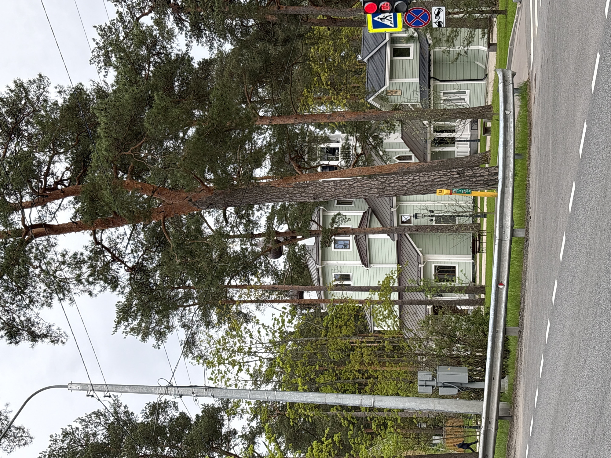 The scene depicts a street in Solnechnoye, Russia. Several green, multi-story houses are visible behind tall pine trees. A metal guardrail runs along the edge of the road, with white lane markings present on the asphalt. A traffic light and road signs are mounted on a pole. Overhead power lines are strung between the trees and the utility pole. The sky is overcast.