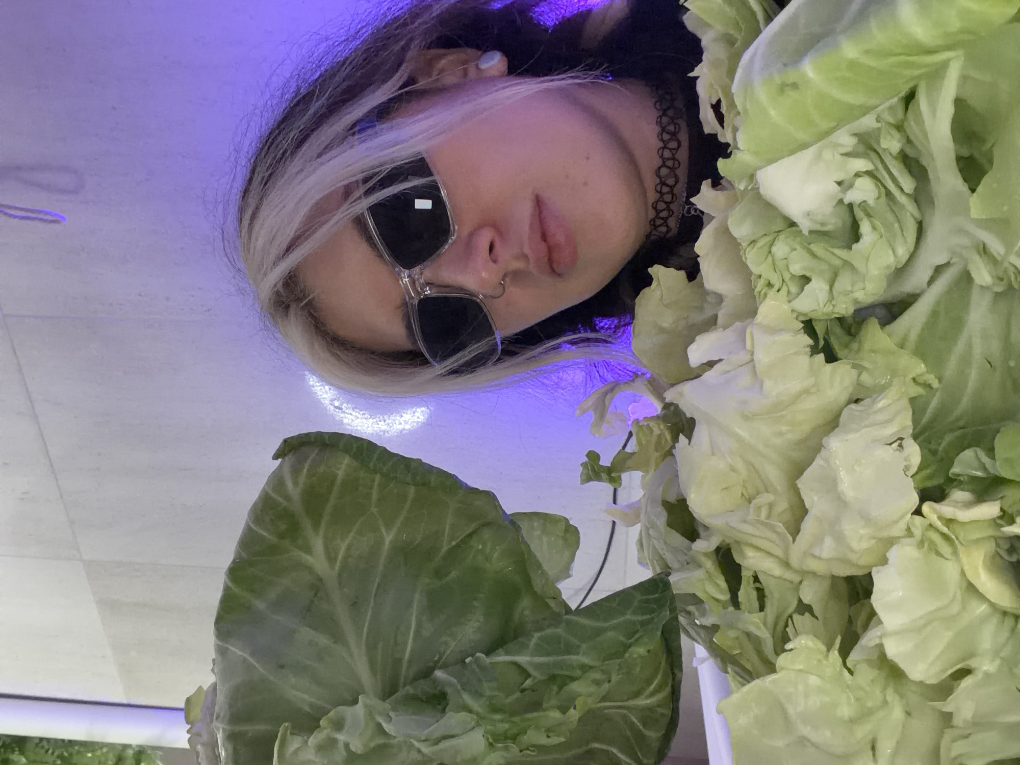 The image captures an indoor scene in Budva, Montenegro, featuring a young individual partially obscured by a substantial quantity of green and yellowish-white cabbage leaves. The individual, positioned slightly to the right of the frame, has dark hair with prominent blonde streaks framing the face and wears clear-framed, dark-lensed rectangular sunglasses. A silver nose ring is present on the left nostril, and a black choker necklace with a repeating pattern is visible around the neck. A white stud earring is in the right earlobe. Their lips are slightly pursed in a neutral expression. A large, intact cabbage leaf dominates the upper left foreground, while numerous loose cabbage leaves fill the bottom and mid-left of the image, extending upwards to obscure part of the individual's lower face and body. The background consists of a light-colored wall, illuminated by a strong purple ambient light. A distinct white, crescent moon-shaped light fixture or reflection is visible to the upper right of the individual's head.