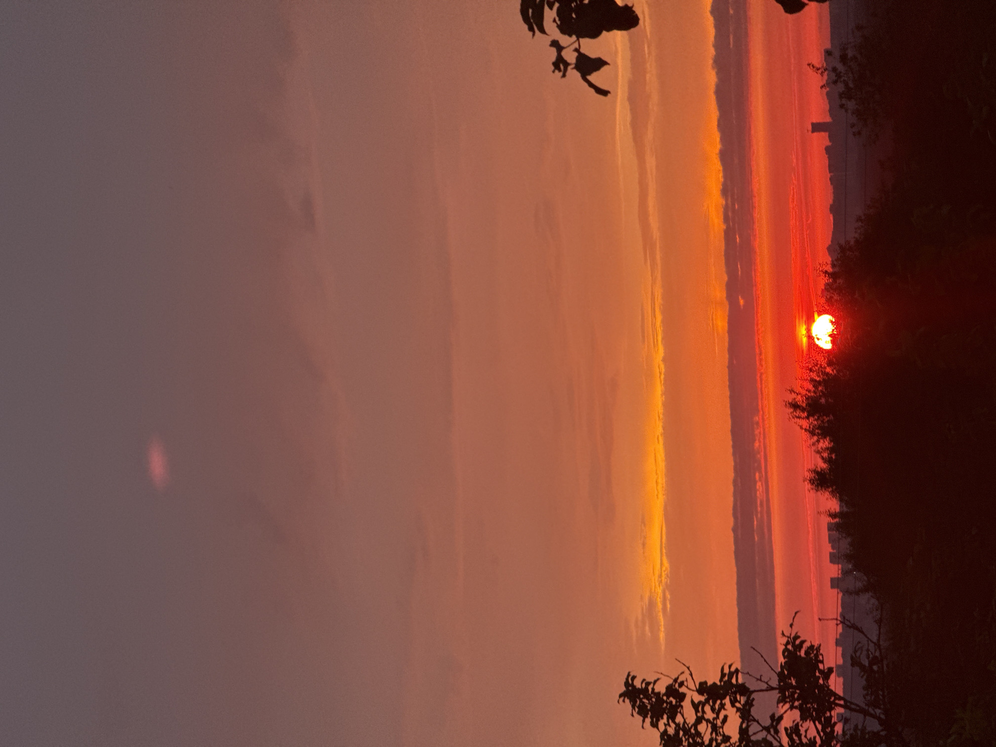 A vertical, full-frame, outdoor, nighttime photograph captures a sunset over a city skyline. The sun, a bright red orb, is partially obscured by dark silhouettes of trees and foliage in the foreground and mid-ground. The sky transitions from a deep orange and red near the horizon to a muted pink and purple overhead, with thin, wispy clouds scattered throughout. A faint, oval-shaped pink cloud or light anomaly is visible in the upper portion of the sky. Silhouetted against the sunset are buildings and structures of a city, appearing as dark, indistinct shapes. The overall impression is one of a dramatic and colorful twilight scene.