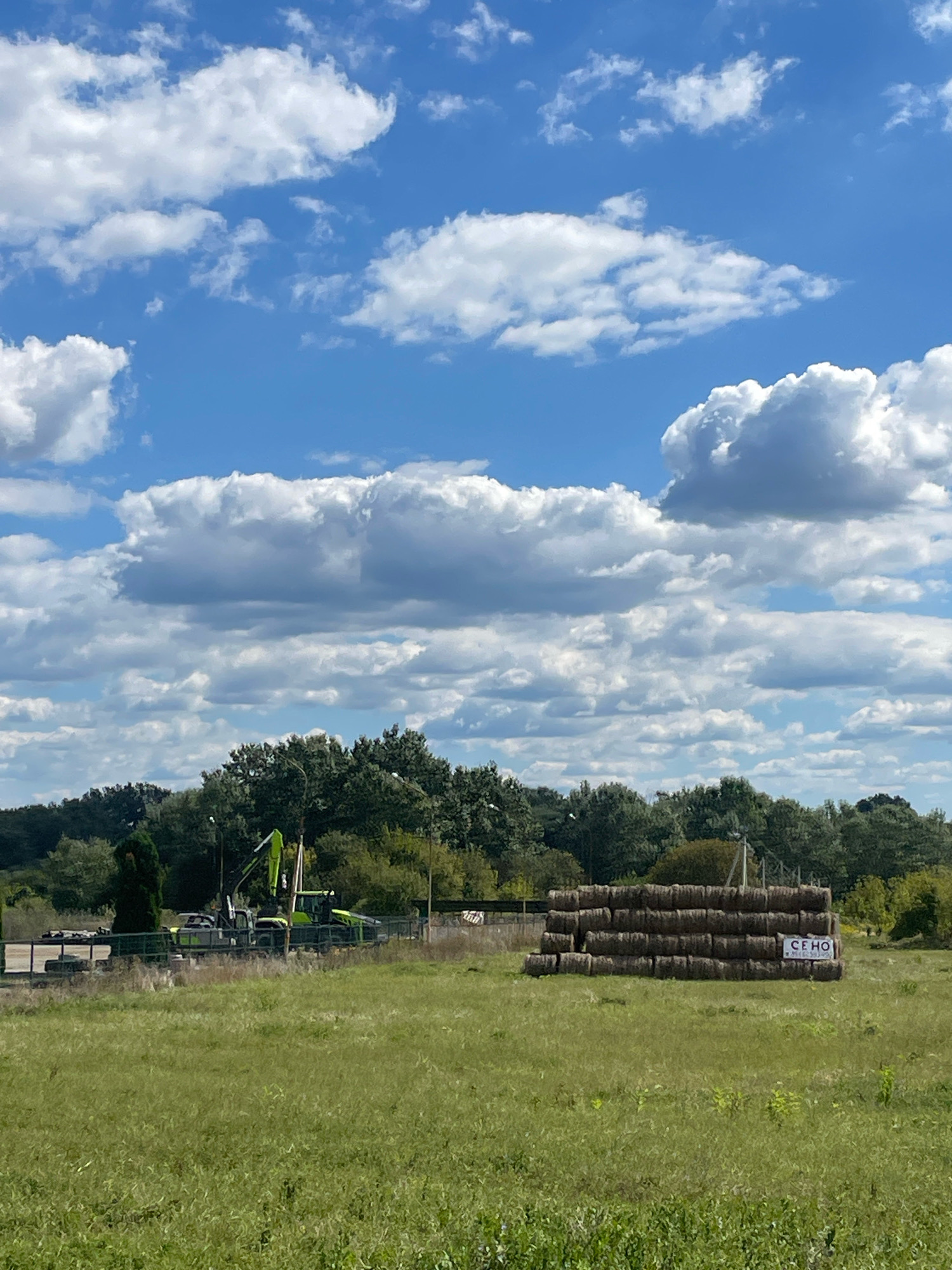 In Goryachiy Klyuch, Russia, a scene unfolds under a bright blue sky dotted with fluffy white clouds. The foreground is dominated by a field of tall, green grass. In the mid-ground, a stack of rectangular hay bales is arranged in a layered pattern, with a white sign bearing Cyrillic text reading "CE HO" affixed to the front. Behind the hay bales, a line of lush green trees forms a dense backdrop. To the left of the hay bales, construction equipment, including a bright green excavator, is visible near a fence. The overall environment suggests a rural or semi-rural setting, possibly on the outskirts of a populated area.