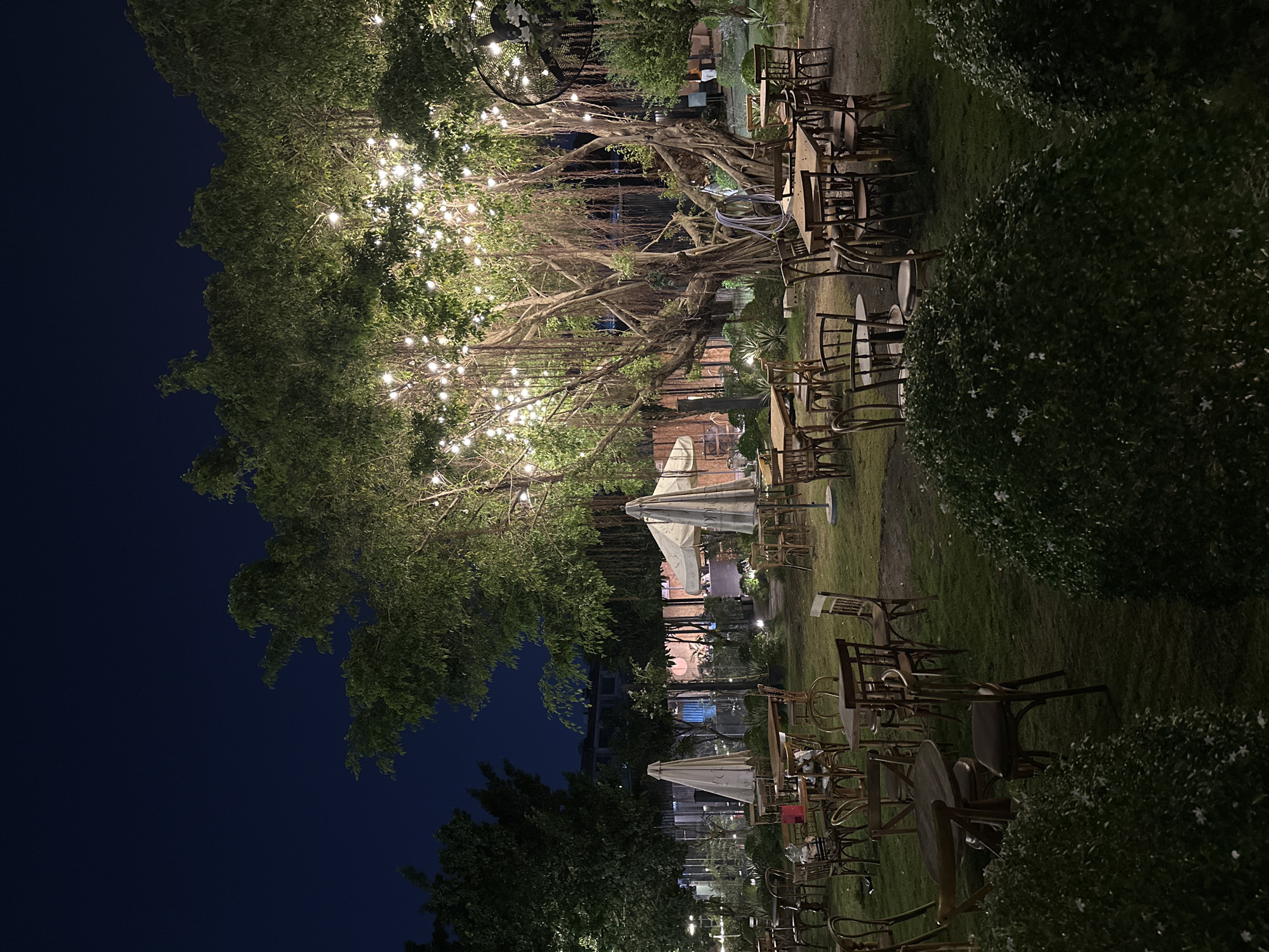 The image depicts an outdoor seating area, likely a restaurant or cafe, at night. Tables and chairs are arranged on a grass area. Large trees, adorned with strings of lights, provide illumination and ambiance. The sky is dark. Some plants act as dividers between seating arrangements. The setting suggests a relaxed and inviting atmosphere. Ho Chi Minh City is not discernible from this image.
