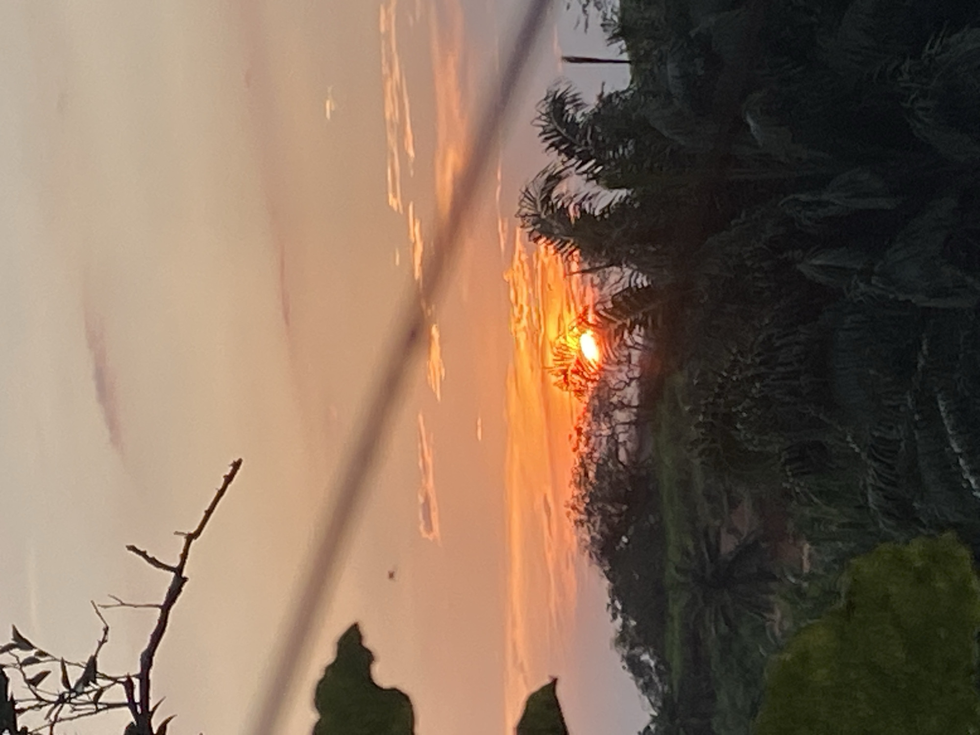 The image depicts a sunset over a lush, green landscape, likely on the outskirts of Unwana, Nigeria. The sky is a gradient of soft oranges and pinks, with thin, wispy clouds scattered across it. In the foreground, the silhouette of tree branches and leaves frames the scene, with a wire running diagonally across the upper portion of the image. A prominent, bright orange sun is setting behind a dense line of trees and palm trees that form a natural horizon. The vegetation is dense and varied, suggesting a tropical or subtropical environment. The overall impression is one of natural beauty and tranquility at the close of day.