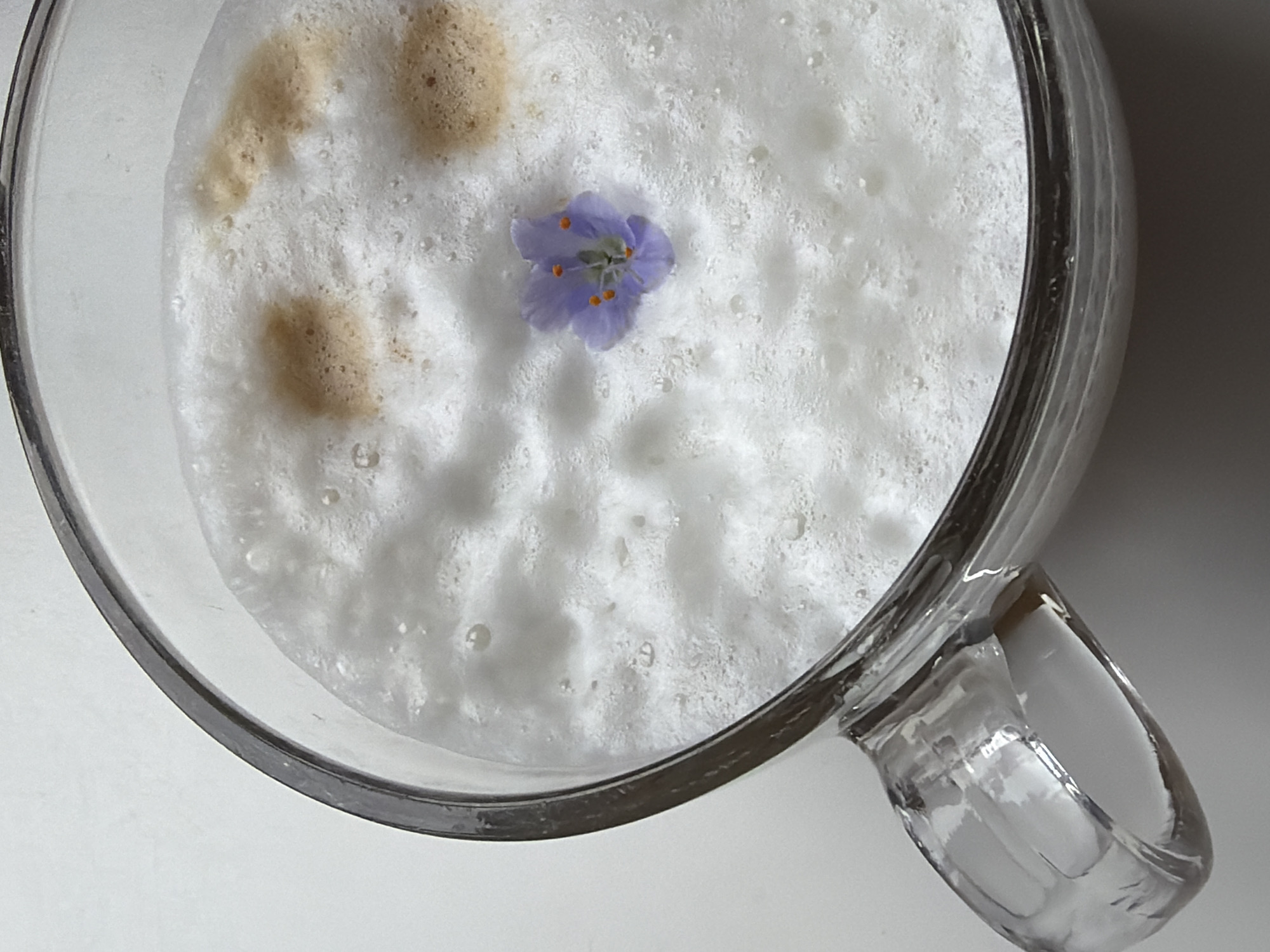 A close-up, overhead shot shows a clear glass mug filled with frothy white liquid, likely a coffee beverage like a latte or cappuccino. A single small, delicate purple flower with orange stamen rests on top of the foam. Subtle brown swirls, characteristic of coffee art or espresso shots, are visible within the foam. The mug has a handle. The background is a plain, light-colored surface. The image was taken in Dreiliņi, Latvia.