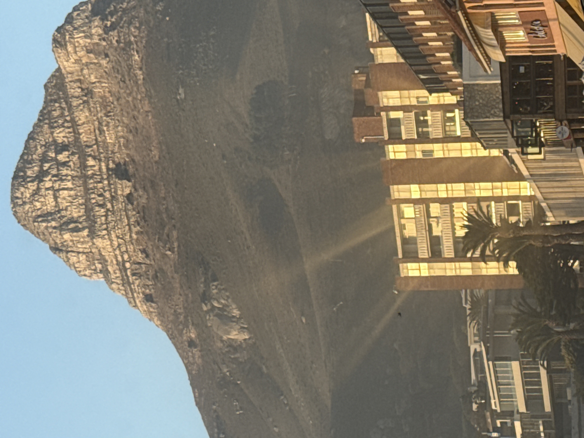 The image shows Lion's Head mountain in Cape Town, South Africa, with buildings and palm trees in the foreground. The mountain occupies the left side of the frame, showing its rocky terrain under a clear sky. The buildings, bathed in sunlight, are visible on the right, with palm trees partially obscuring their view. The image appears to be taken from a low angle, emphasizing the mountain's height and proximity to the urban landscape.