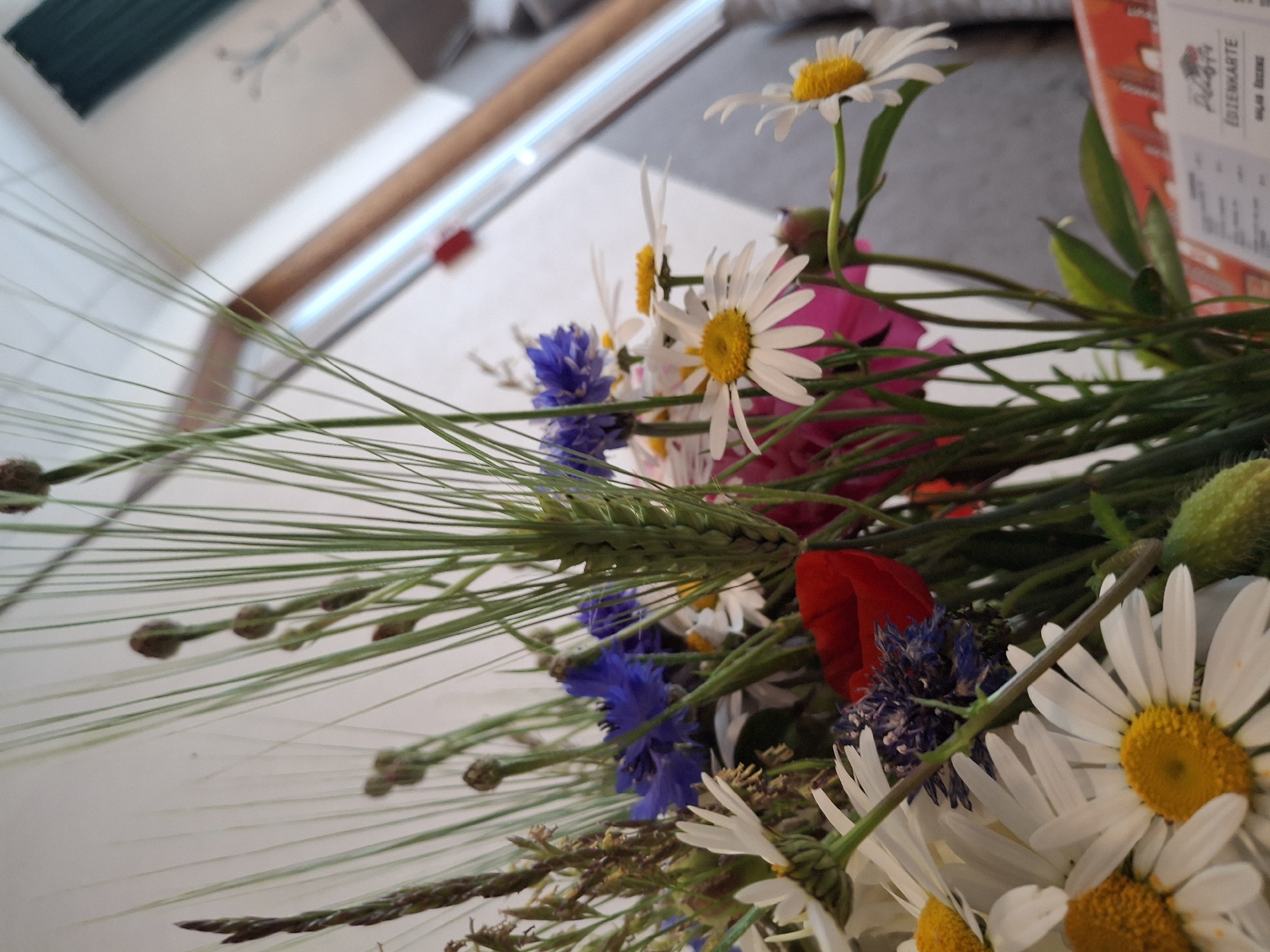 A close-up, vertical shot shows a bouquet of wildflowers against a blurred background. The bouquet features daisies with white petals and yellow centers, blue cornflowers, red poppies, and some greenery, including blades of grass and wheat stalks. A small, green, spiky seed pod is also visible. In the background, a white wall is partially visible, along with a wooden structure that appears to be a window frame or doorway, and a glimpse of a teal curtain. The overall impression is of a natural, rustic arrangement.
The image was taken in the city of Lēdmane, Latvia.