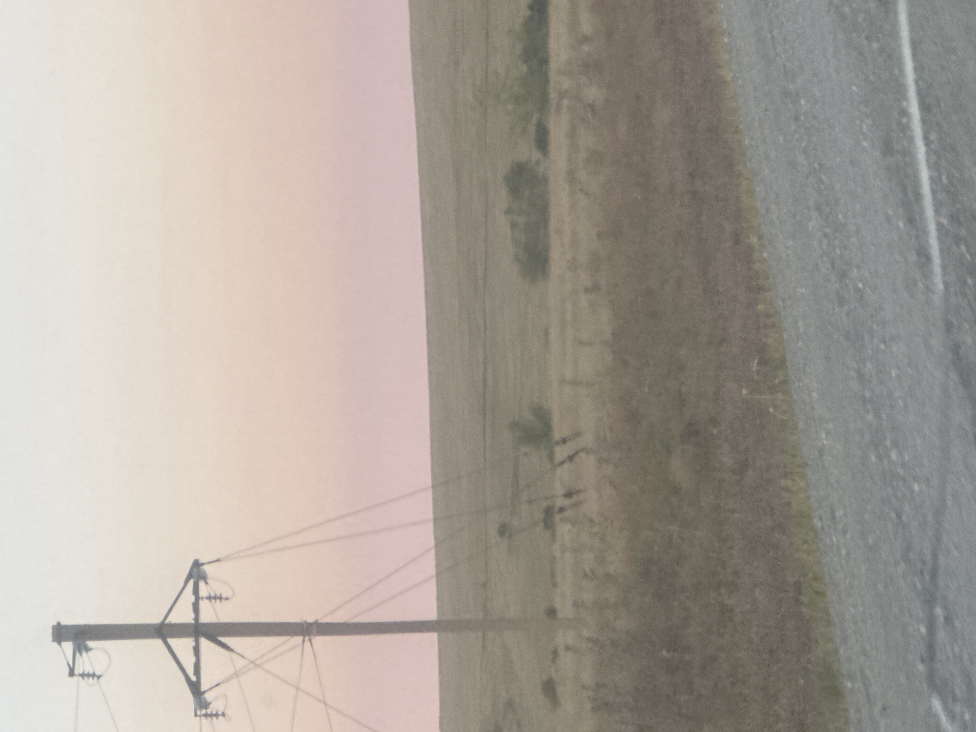 The image depicts a desolate rural landscape with a power pole and wires prominently featured on the left side. The sky exhibits a gradient of soft pastel colors, transitioning from pale white at the top to a light pinkish hue towards the horizon, suggesting either dawn or dusk. The ground is covered in dry, sparse vegetation, with a gently sloping, barren field stretching into the distance. In the mid-ground, there are a few scattered bushes or small trees. A dirt or gravel road runs along the bottom right of the frame. The scene appears to be located in a remote, undeveloped area, possibly the outskirts of Васильевка, Russia, given the context provided. There are no people or animals visible in the image, and no discernible activity is taking place. The overall impression is one of quiet, untouched nature.