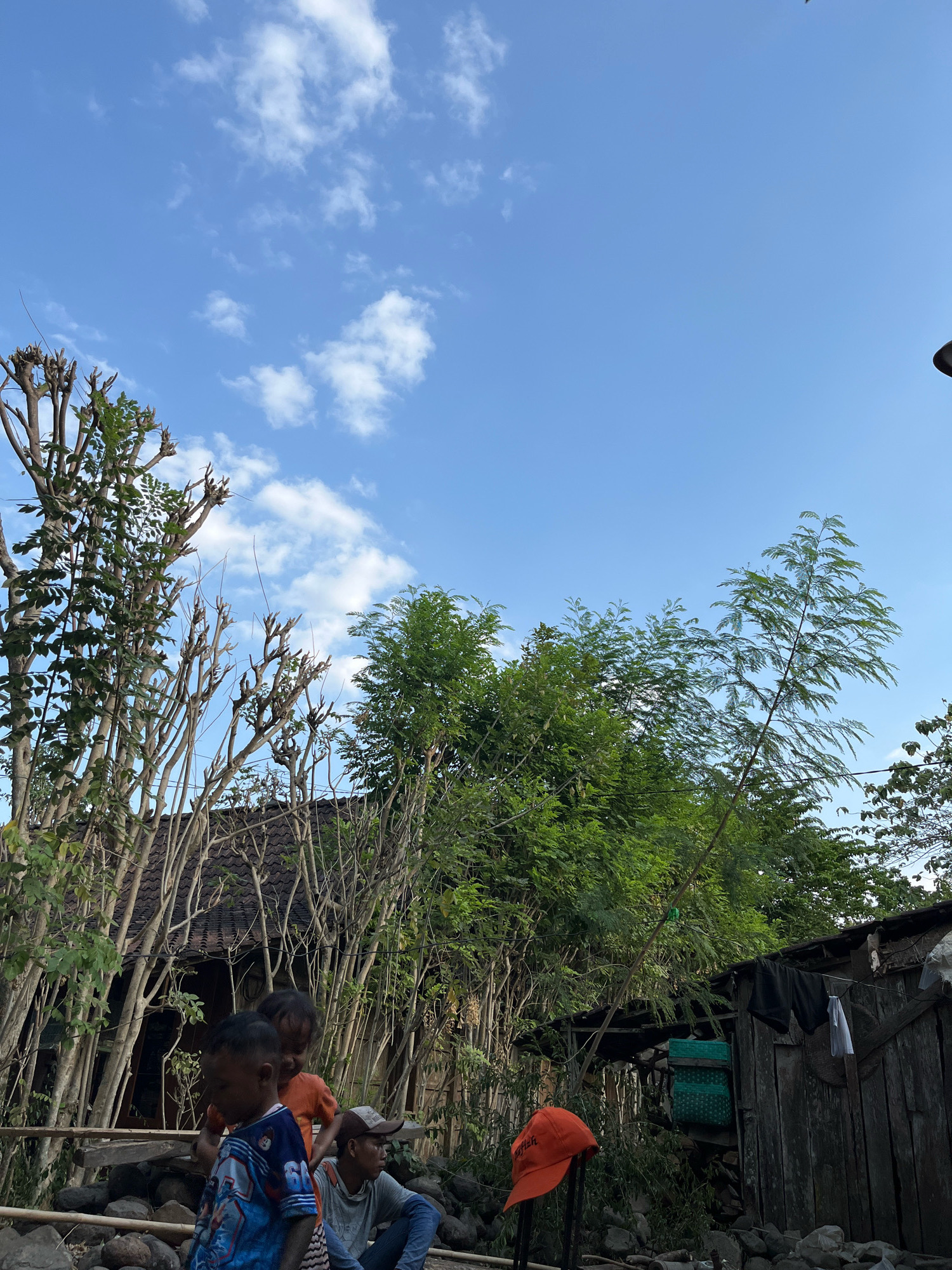 In the city of Wiru, Indonesia, this image captures a scene with a bright blue sky dotted with scattered white clouds. In the foreground, several children are present. A young boy in a blue and red t-shirt stands to the left, looking slightly away from the camera. Behind him, a younger child in an orange shirt is also visible. To the right, a man wearing a grey hoodie and a baseball cap is seated, looking to the side.
The background features a traditional house with a tiled roof, partially obscured by numerous thin, bare tree branches that are meticulously pruned. Lush green trees and foliage surround the house, with some branches extending into the sky. To the far right, a wooden structure with weathered planks is visible, with laundry hanging on a clothesline, including dark shorts and a white shirt. An orange baseball cap rests on a stand in front of this structure. The ground is covered with stones and rough terrain.