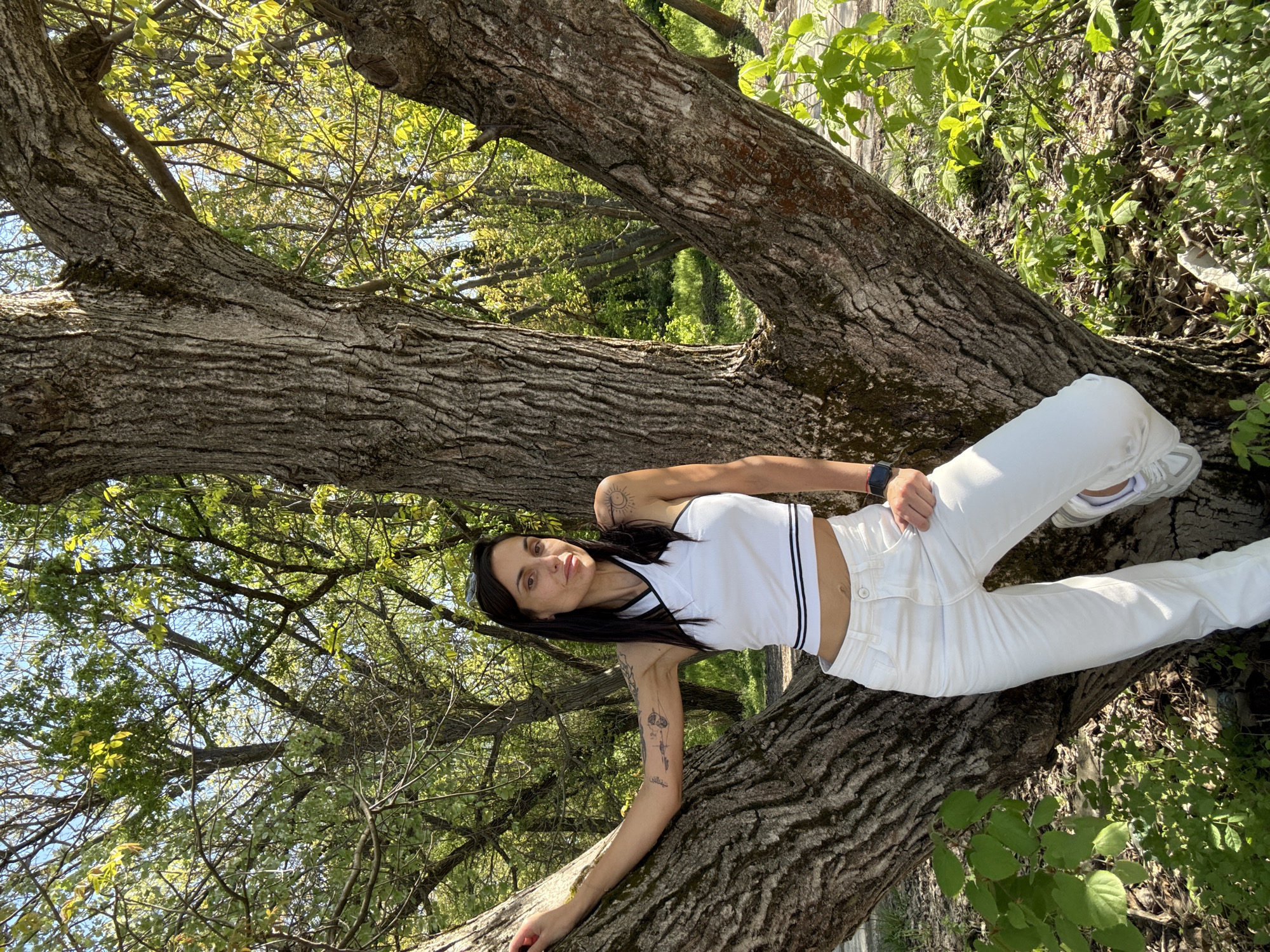 A woman is lying on a thick tree branch in an outdoor, sunny location. The woman has dark hair and is wearing a white crop top and white pants. She has tattoos on her arms. The tree branch is large and gnarled, with textured bark. Leaves and branches are visible in the background. The location appears to be outdoors, possibly a park or wooded area. The city of Pleven, Bulgaria, cannot be confirmed.