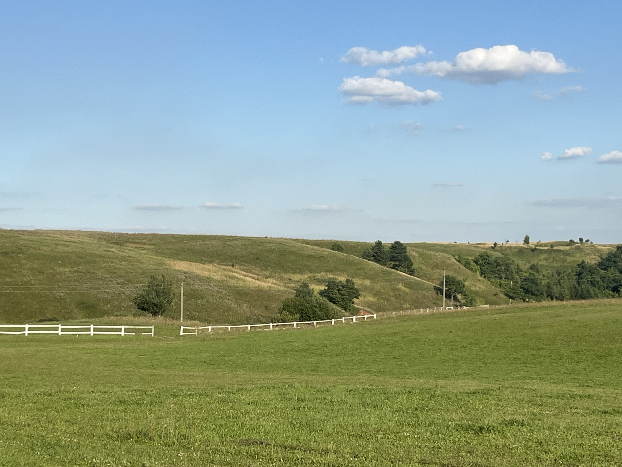 The image depicts a pastoral landscape under a clear blue sky dotted with white clouds. In the foreground, a vibrantly green, mowed field stretches across the frame. A white fence runs horizontally across the mid-ground, separating the foreground field from a gently sloping, grass-covered hill beyond. The hill is characterized by varying shades of green and brown, indicating different types of vegetation and possibly dry patches. Scattered trees, primarily evergreens, are visible on the slopes of the hill and in the distance, forming small clusters. A few utility poles with wires are also present along the hillside. The overall scene suggests a rural or semi-rural environment, possibly a park, a farm, or a nature reserve. The location is identified as Srednie Pinyachi, Russia. There are no people or animals visible in the image, and no actions or interactions are taking place. The environment is natural and serene.