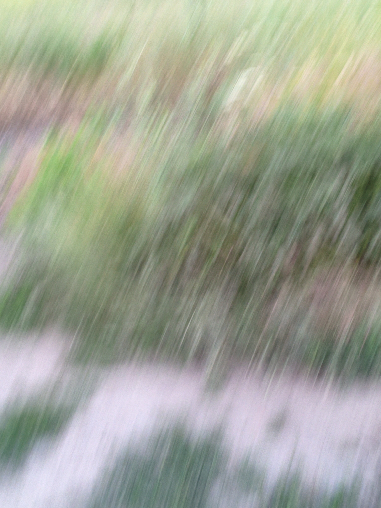 The image is an abstract, motion-blurred depiction of a natural environment. Diagonal streaks of green, brown, and white dominate the frame, suggesting movement and a lack of sharp focus. The greens are varied, ranging from deep forest hues to lighter, almost pastel shades. Interspersed are bands of muted brown and significant areas of bright, washed-out white, which could represent a path, water, or sky. The overall impression is one of a dynamic, outdoor scene, possibly a field or roadside, captured during motion. There are no discernible human figures, specific objects, or clear actions depicted due to the extreme blur. The scene is devoid of urban elements, making it difficult to pinpoint a specific location within Ustyvytsia, Ukraine.