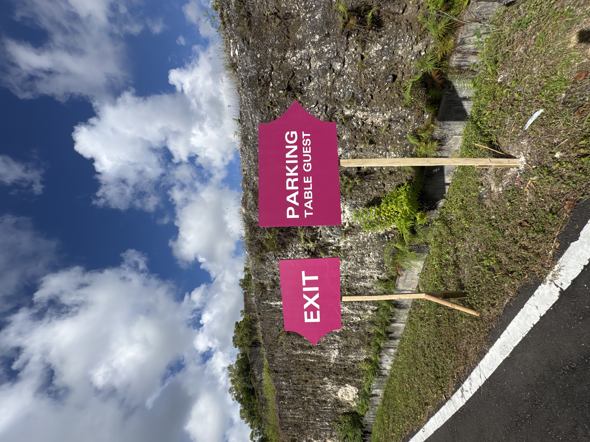 This daytime outdoor photograph, taken in Kuta Selatan, Indonesia, displays two magenta-colored directional signs positioned alongside an asphalt road. The sky, filled with white, fluffy clouds against a clear blue background, occupies the upper portion of the frame, indicating bright, sunny weather.
On the left side of the scene, a rugged, rocky embankment rises, covered intermittently with green foliage, including ferns and small plants. In the mid-ground, two distinct signs are visible. The sign on the right, which is further back from the viewer, is shaped like a pointed arch at the top and bottom and bears the white, capitalized text "PARKING TABLE GUEST" oriented vertically. The sign on the left, positioned closer to the viewer, shares the same shape and color, and displays the vertical white text "EXIT". Both signs are supported by simple wooden stakes driven into the grassy ground.
To the right of the signs, a strip of green grass and weeds borders a dark asphalt road, which features a faded white line running along its edge. No people or vehicles are visible, suggesting a momentary quiet in an area designed for guiding event attendees or visitors.