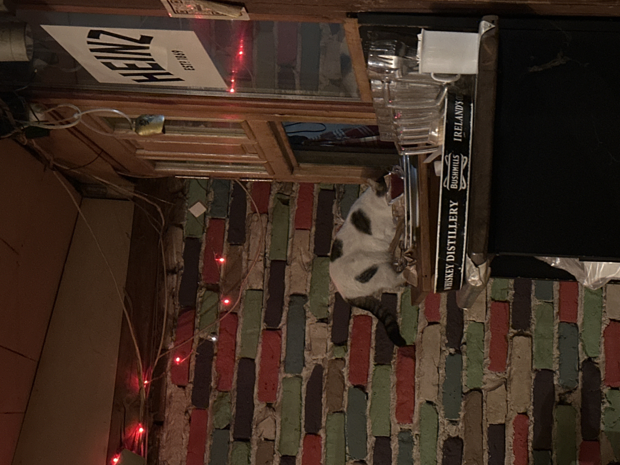 The scene depicts an interior setting within a bar or café in Plovdiv, Bulgaria. A white domestic cat with dark brown or black patches is positioned on a dark wooden surface. The cat's head is lowered, partially entering an open, light-brown wooden-framed partition or service hatch. To the cat's immediate left, a clear glass or cup filled with a red liquid rests on a white plate.
The background features a wall composed of multicolored bricks in shades of red, olive green, dark brown, and beige, with light-colored mortar. Red string lights with small bulbs are strung irregularly across this brick wall and extend towards a wooden ceiling beam.
To the right of the cat, a vertical wooden-framed structure, appearing to be a window with glass, is present. A white sign with black text "HEINZ ESTD 1869" is visible through or affixed to this glass. A small, tarnished brass-colored bell hangs from a light-colored cord at the top of this wooden frame.
Below this structure, a dark wooden counter supports several clear glass pitchers, stacked. To their right, a white ceramic mug stands. A black rectangular tray, bearing white text "WHISKEY DISTILLERY BUSHMILLS IRELAND'S," is situated on the counter, partially obscured by the glassware. Below the counter, a dark, matte-finished lower bar or cabinet section is visible. The overall illumination is dim, casting a warm tone. No human figures are present.