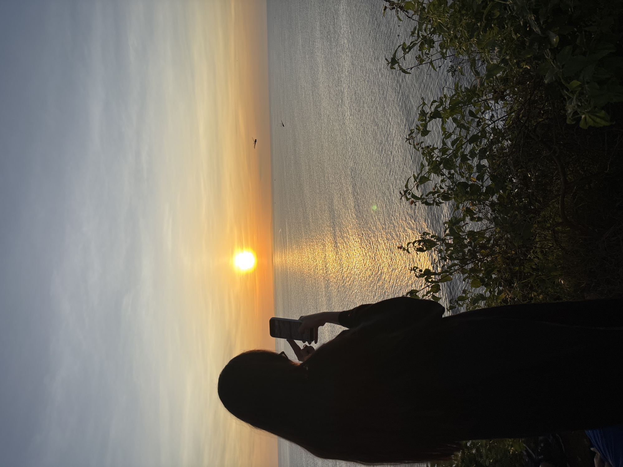 A medium-shot captures a person's silhouette taking a photograph of a sunset over the ocean. The sky transitions from a lighter grey-blue to a bright orange where the sun is positioned. Sunlight reflects on the water's surface. Two distant flying objects, possibly birds or insects, are visible in the sky above the water. Foliage is present on the right side of the frame. The person is holding a smartphone and appears to be capturing the scene.
The image was taken in Kuta Selatan, Indonesia.
