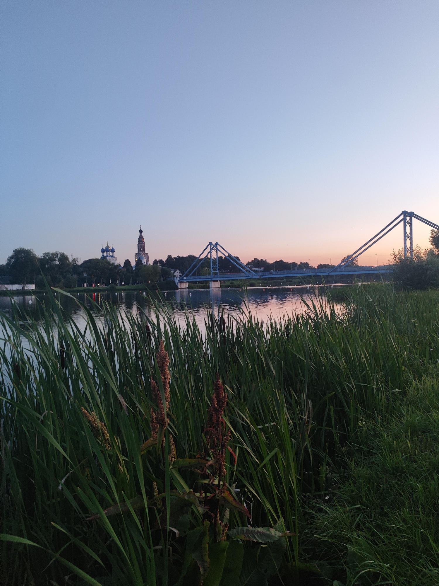A wide-angle shot captures a serene evening scene in Bronnitsy, Russia, focusing on the iconic suspension bridge spanning a calm body of water. In the foreground, tall, dense green reeds and grasses dominate, their stalks rustling gently. The water surface reflects the soft hues of the twilight sky and the distant lights of the city. Across the water, the silhouette of Bronnitsy's charming cityscape emerges, featuring a prominent church with blue domes and a tall clock tower. The striking blue suspension bridge, a landmark of the city, stretches across the horizon, its architectural lines softened by the fading light. The sky transitions from a pale blue overhead to a warm, peachy glow near the horizon, hinting at the recent setting of the sun. No people are visible in the frame, emphasizing the tranquil atmosphere of the location.