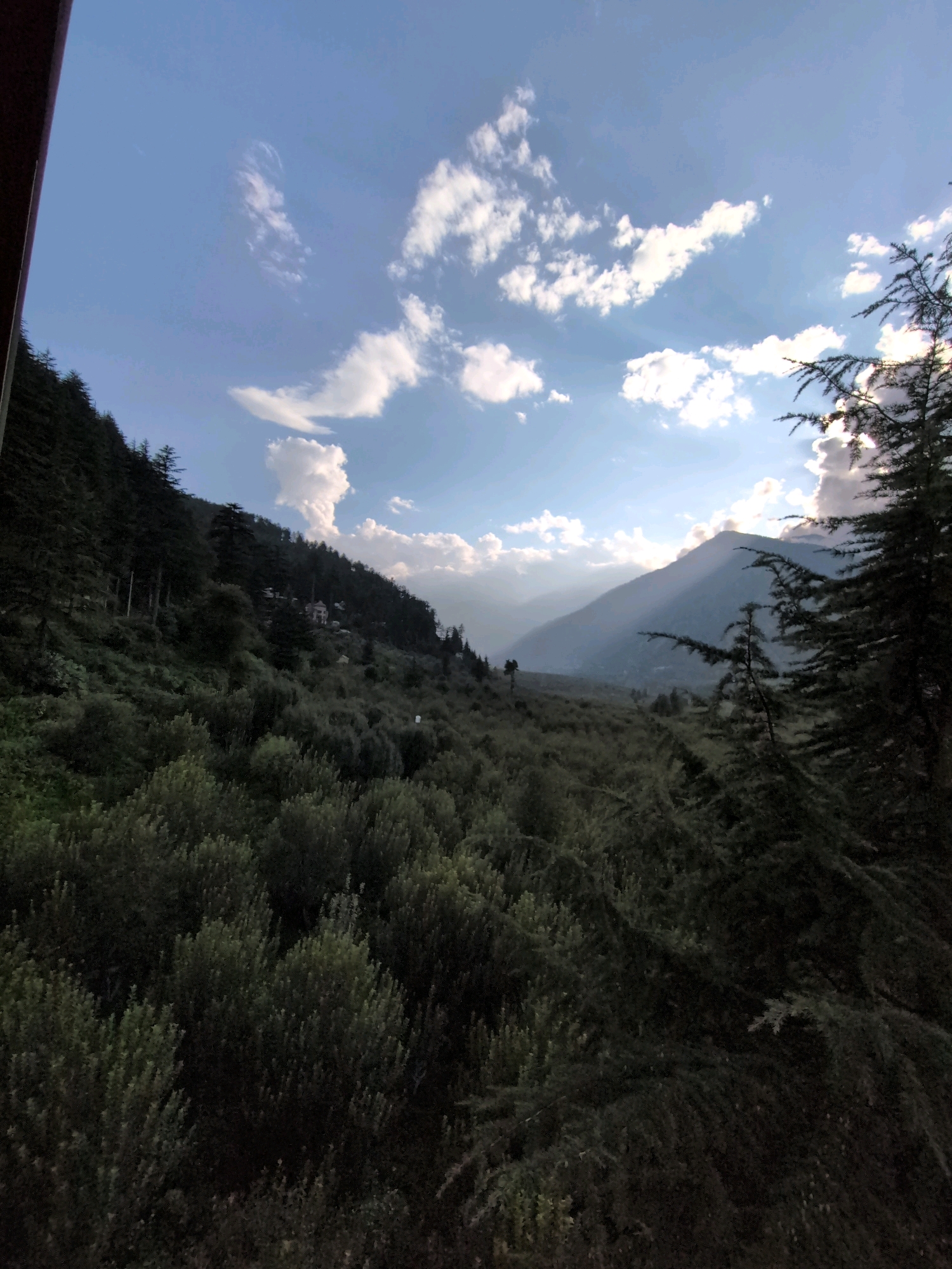 The image captures a mountainous landscape in the vicinity of Chhaki, India. The scene is dominated by a steep, verdant hillside covered in dense vegetation, including numerous small, bushy trees in the foreground and taller, conifer-like trees further up the slope. A winding path or road is partially visible on the hillside, leading towards a cluster of buildings nestled amongst the trees. In the distance, a majestic mountain peak rises, partially shrouded in mist and illuminated by the rays of the setting sun. The sky above is a clear blue, dotted with fluffy white clouds that are catching the golden light. The overall impression is one of serene natural beauty, with a hint of human habitation integrated into the rugged terrain.