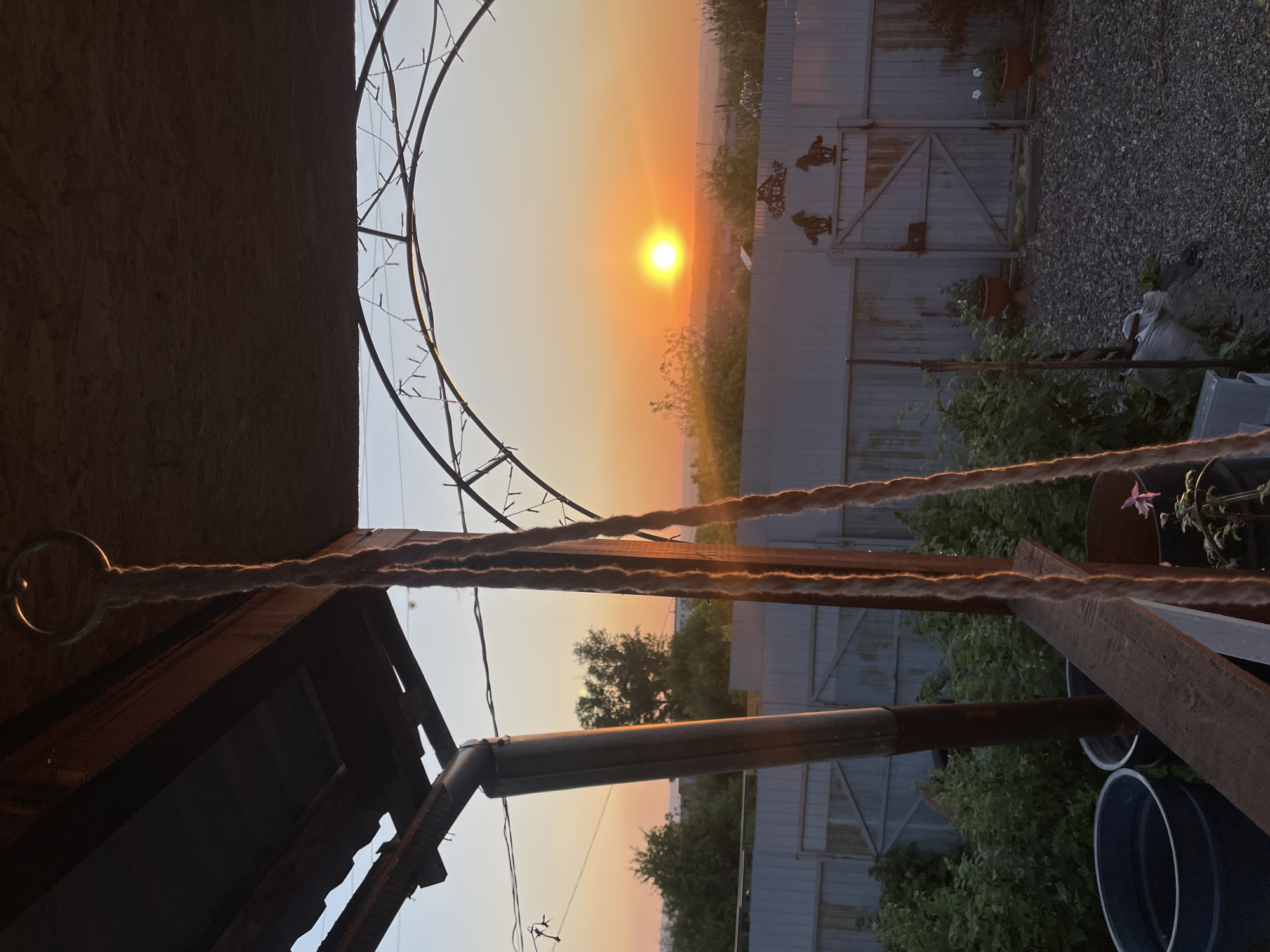 The image depicts a sunset viewed from what appears to be a porch or covered patio. In the foreground, a thick, rough rope hangs vertically, suggesting it might be part of a swing or some other apparatus. The rope is illuminated by the warm light of the setting sun. Behind the rope, a metal downspout runs vertically along the edge of the roof structure. The roof itself is made of corrugated metal.
Beyond the immediate foreground, a light-colored metal fence stretches across the middle ground, separating the yard from a distant landscape. This fence has a gate in the center, adorned with two decorative metal figures of horses and a small house silhouette. In front of the fence, there are various potted plants, some with flowers, and lush green bushes. The ground in the yard is covered with gravel.
The background features a hazy view of trees and buildings, suggesting a semi-rural or suburban setting. The sunset is the dominant element in the sky, casting a vibrant orange and yellow glow. A bright, circular sun is visible low on the horizon. The sky transitions from a warm orange near the sun to a lighter blue at the top of the frame. The overall impression is one of a peaceful, late evening scene.
Given the information provided, this scene is located in Novokuznetsk, Russia.
