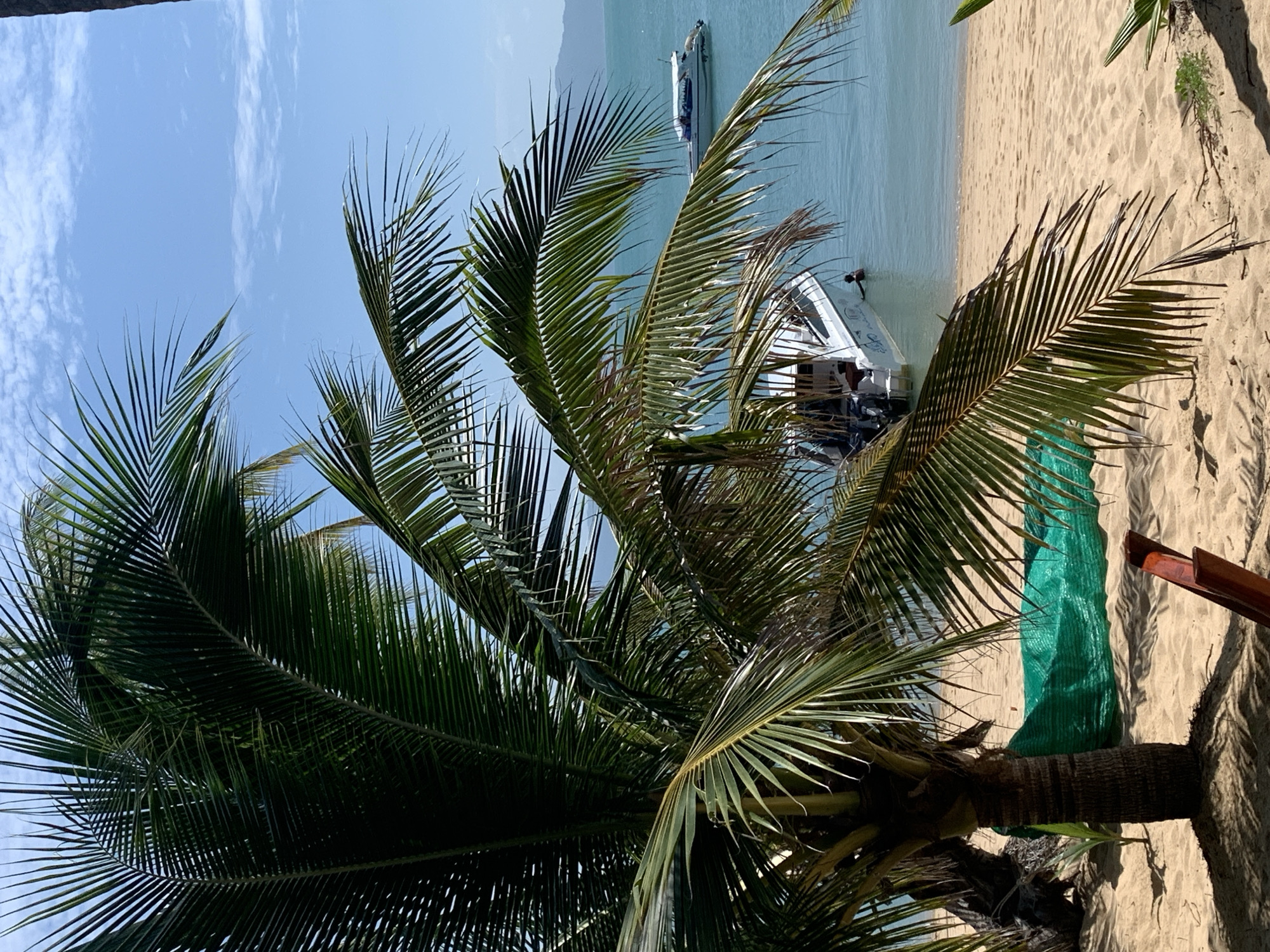 The image depicts a sunny day at a beach in Ko Samui District, Thailand, with a prominent palm tree in the foreground partially obscuring the view of the ocean. The sand is light brown, and a green tarp is visible near the base of the palm tree. In the turquoise water, two white speedboats are anchored. One speedboat is closer to the shore and appears to have a person in the water near its stern. Another speedboat is further out in the water. The sky is clear blue with a few wispy white clouds. The overall scene suggests a tropical, relaxed atmosphere.