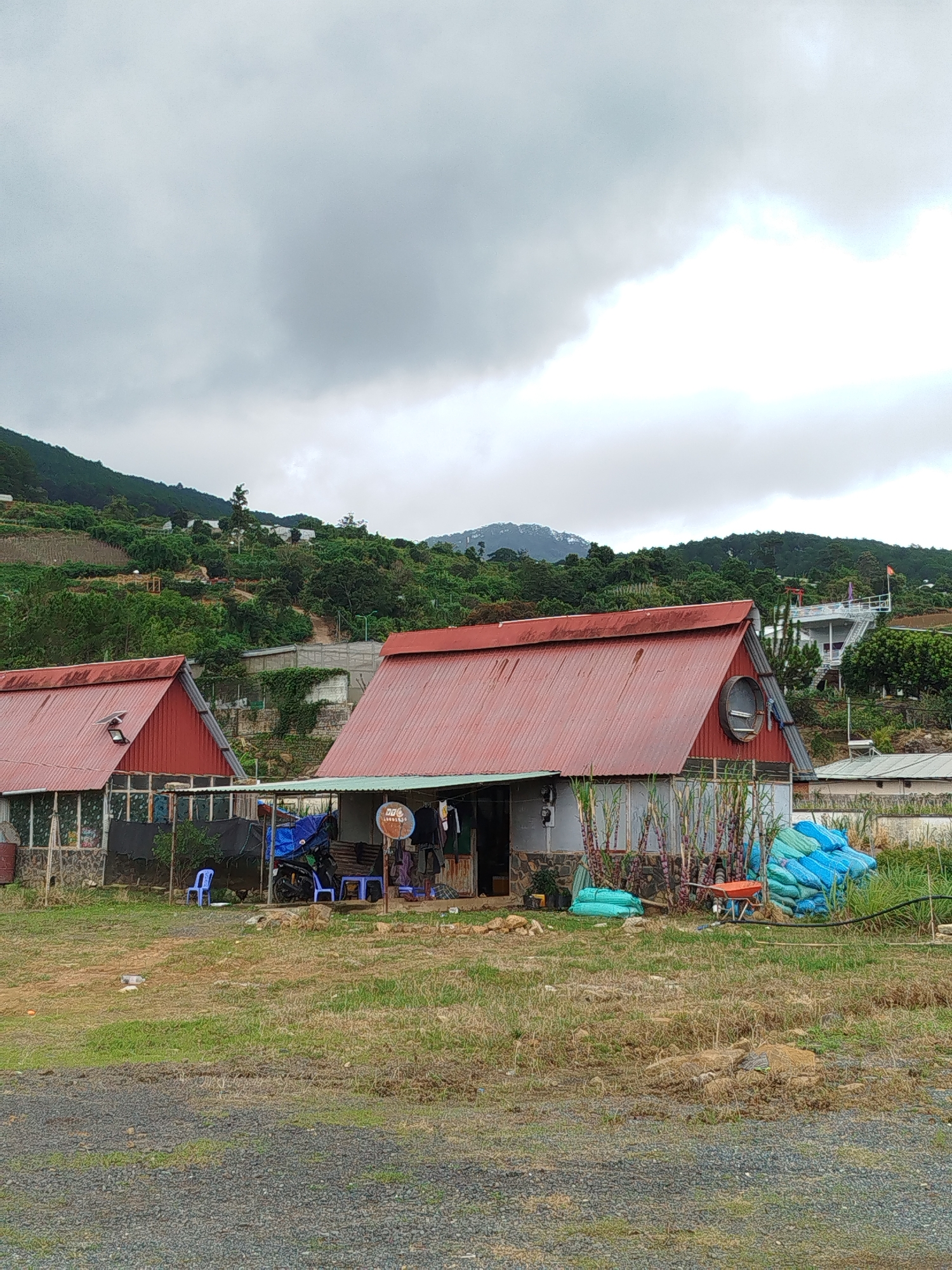 The image depicts a rural scene in K'Long, Vietnam, under a cloudy sky. In the foreground, a grassy and gravelly area stretches towards two buildings with distinctive red corrugated metal roofs. The building on the left is partially visible, with a section of its wall showing stonework and glass panels. The building on the right is more prominent, featuring a single-story structure with a covered porch. In front of this building, several objects are visible, including a motorcycle, blue chairs, and what appear to be stacks of blue and green sacks. Tall, thin plants with purple stalks, possibly sugar cane, are growing near the right building.
Behind the buildings, the landscape slopes upward, covered in lush green vegetation, terraced fields, and scattered smaller structures. Distant mountains are visible against the overcast sky. The overall impression is one of a working agricultural area, with simple dwellings and the natural landscape dominating the scene. There are no people visible in the image.