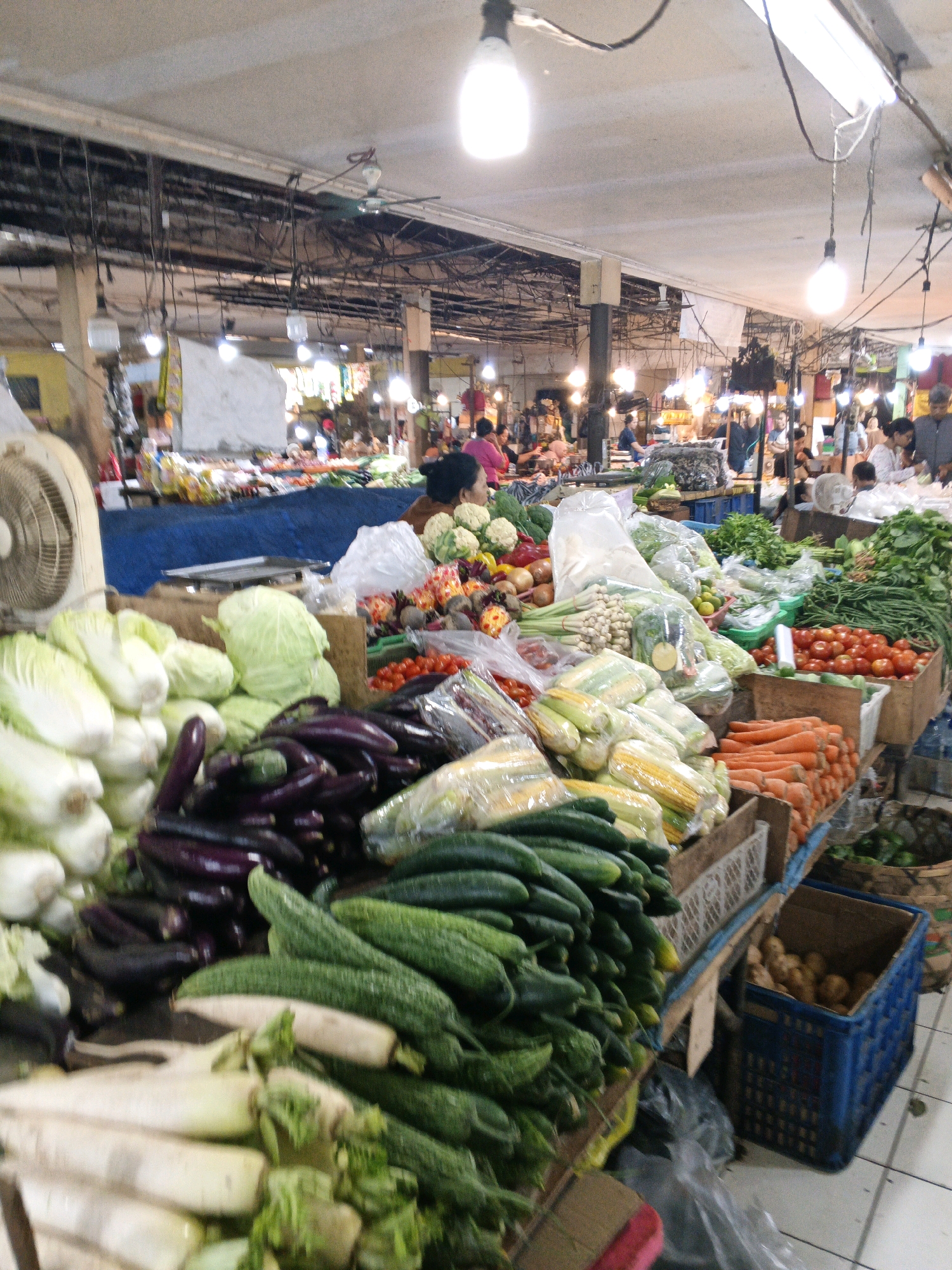 This is an eye-level, medium shot of a bustling produce market stall in Denpasar, Indonesia. The scene is filled with a vibrant array of fresh vegetables displayed in wooden crates and on blue tarps. Prominently featured are piles of light green cabbage, dark purple eggplants, and bundles of long green cucumbers. Other visible produce includes corn on the cob, carrots, tomatoes, and what appear to be radishes. In the background, several people are browsing or working at the market, some partially obscured by the produce. The market is covered by a corrugated metal ceiling with numerous bare light bulbs hanging from wires, illuminating the scene. An industrial-style fan is visible on the left side of the frame. The overall impression is one of a lively and abundant marketplace.