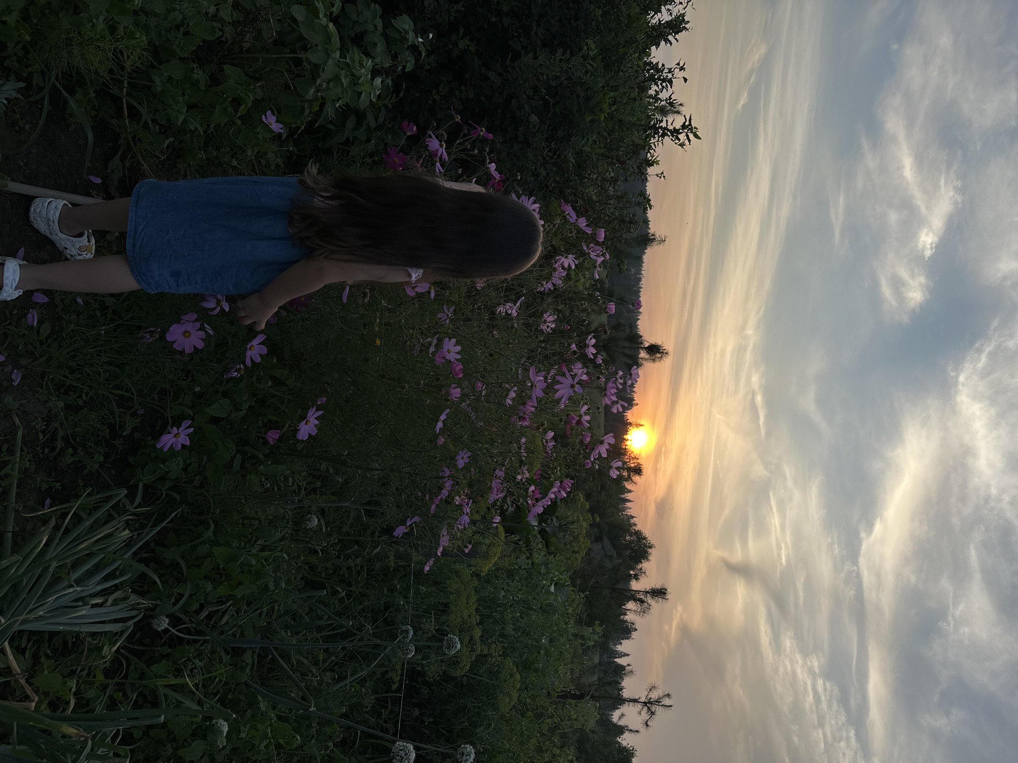 The image depicts a sunset scene in a garden, possibly in the village of Sredneye Kechevo, Russia. A young girl with long brown hair stands facing away from the camera, looking towards a vibrant orange sun low on the horizon. She is wearing a light-colored sleeveless top and a blue denim skirt, along with white slip-on shoes. The girl is positioned amidst a cluster of pink cosmos flowers, with lush green foliage and trees forming the backdrop. Wispy clouds streak across the sky, painted with the warm hues of dusk. In the foreground, the garden appears to be growing vegetables, with visible green onion stalks and flower heads. The overall atmosphere is serene and captures a moment of quiet observation in nature.