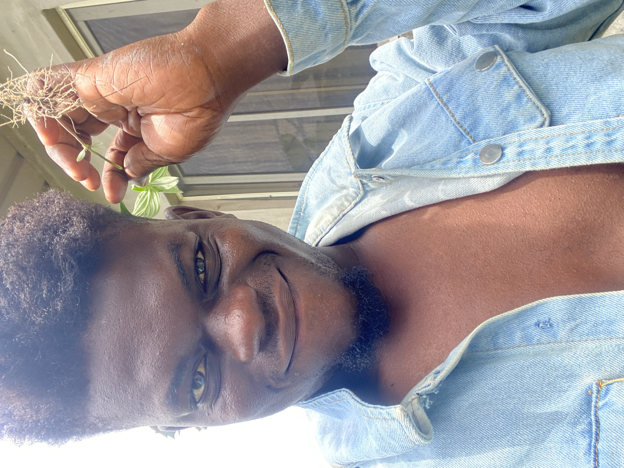 A man with dark skin and short, curly hair is holding a plant in his right hand. He is wearing a light blue denim jacket that is unbuttoned, revealing his chest. The background includes a window with horizontal blinds and what appears to be the exterior of a building. The location is Unknown, Unknown.