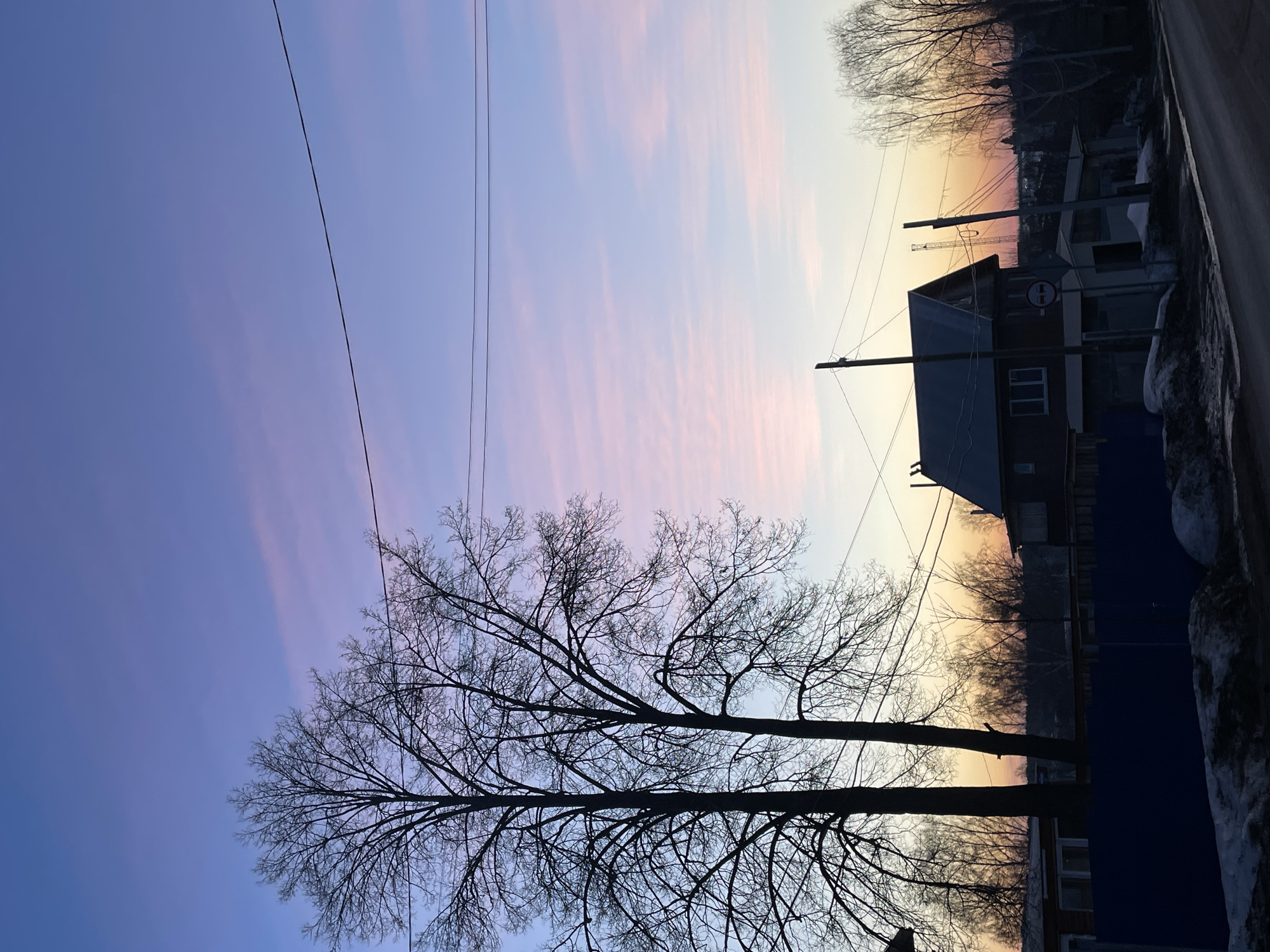 The image shows a street scene in Фоки, Russia at dusk or dawn. A tall bare tree is silhouetted against a sky with bands of purple, pink, and orange. Overhead power lines stretch across the sky. To the right, a two-story house with a pitched roof and a "no entry" sign is visible. A fence and snow patches appear along the edge of the road.