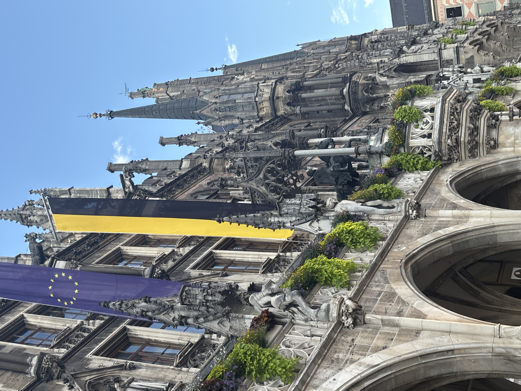 The image captures a detailed view of the New Town Hall (Neues Rathaus) in Munich, Germany, from a low angle looking upwards towards its ornate facade. The architecture is predominantly Gothic Revival, characterized by intricate stonework, pointed arches, spires, and statues. Two large banners are prominently displayed: a purple banner with a circle of yellow stars, representing the European Union flag, and a vertical banner with alternating black and yellow stripes, likely representing the flag of Bavaria or the city of Munich.
The facade of the building features multiple levels with arched windows and decorative carvings. Statues are visible along the balconies, and hanging baskets filled with lush green foliage and small purple and yellow flowers adorn some of the architectural elements. A detailed equestrian statue is mounted on a prominent section of the building. The sky above is a clear, bright blue with a few wispy white clouds. The overall impression is one of grandeur and historical significance, highlighting the architectural beauty of the building and its symbolic banners.