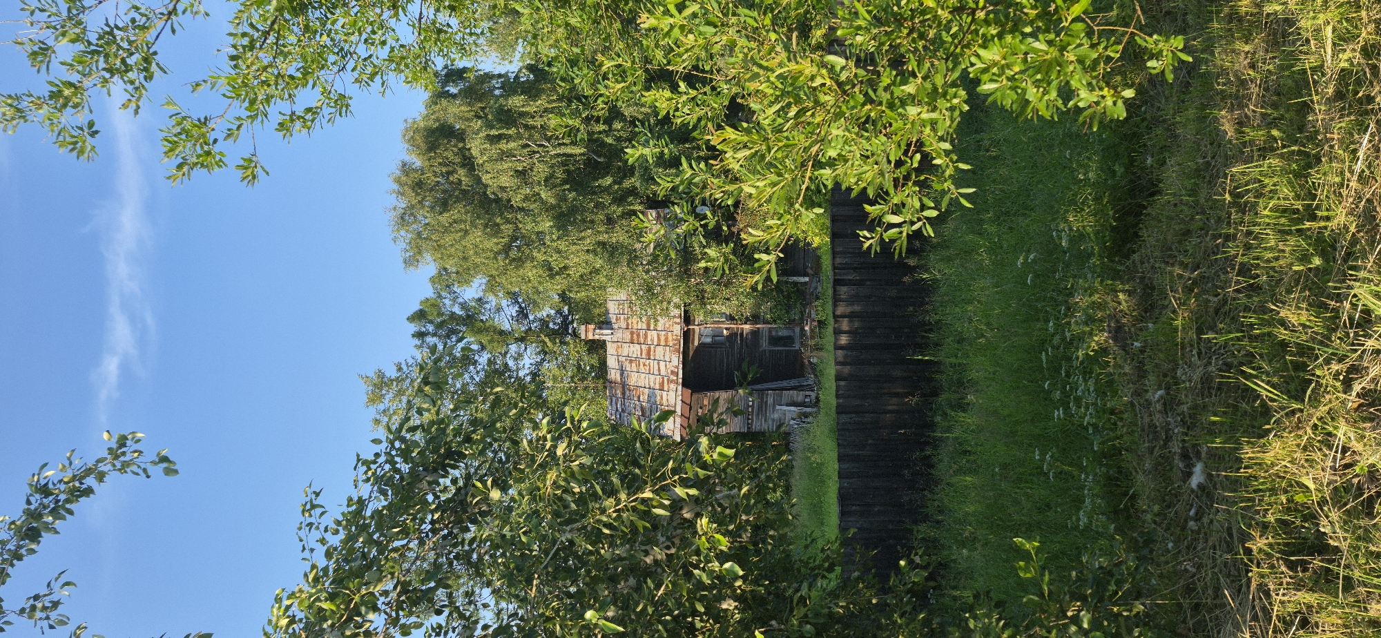 The image depicts an outdoor scene with an old, rustic wooden structure nestled amongst lush green foliage. The structure appears to be a shed or a small house, with a rusted metal roof and weathered wooden walls. A single window is visible, and there is a chimney on the roof.
The setting is natural and overgrown, with trees and bushes surrounding the building. A dark wooden walkway or path runs alongside the structure, leading into the greenery. The grass is tall and appears somewhat wild, with some small white flowers scattered throughout. The lighting suggests it is daytime, with sunlight filtering through the leaves, creating dappled shadows. The sky is a clear, bright blue, with a faint wisp of cloud.
The overall impression is one of a secluded, possibly abandoned, rural or wilderness location. The image conveys a sense of tranquility and perhaps a touch of melancholy due to the aged appearance of the building. There is no visible text in the image.