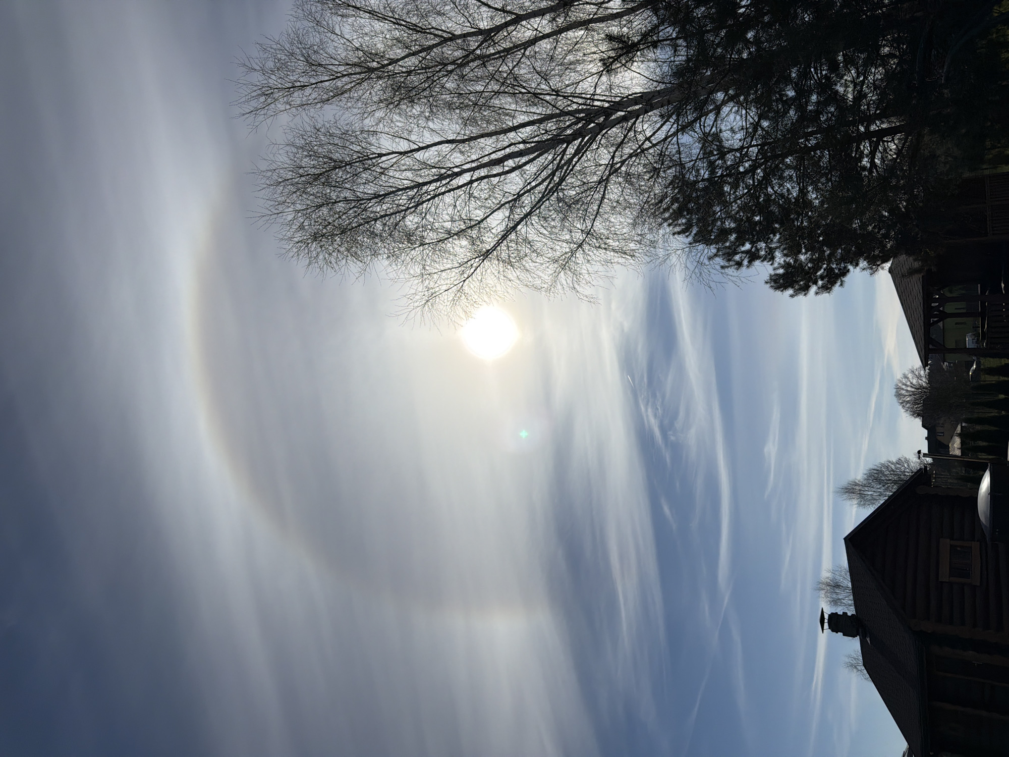 The vertically oriented image captures a bright daytime sky featuring a prominent solar halo. The sun, a brilliant white orb, is centrally positioned in the upper half of the frame, emitting a bright glow and a distinct green, cross-shaped lens flare. Encircling the sun is a large, iridescent 22-degree halo, forming a circular band of light against the luminous sky. The sky transitions from a clearer blue on the right, adorned with long, wispy cirrus clouds, to a more muted, hazy white expanse on the left where the halo is most pronounced.
In the upper part of the image, the dark, bare branches of a deciduous tree are silhouetted against the bright sky. Further to the right, a dense cluster of dark evergreen trees is visible, with hints of a distant structure behind them. In the lower right foreground, a dark, rustic wooden log house with a dark roof and a visible chimney is prominently featured. The scene depicts a serene moment, showcasing a beautiful atmospheric optical phenomenon under clear weather conditions with high-altitude ice crystal clouds, likely in Dreiliņi, Latvia. No visible text is present in the image.
