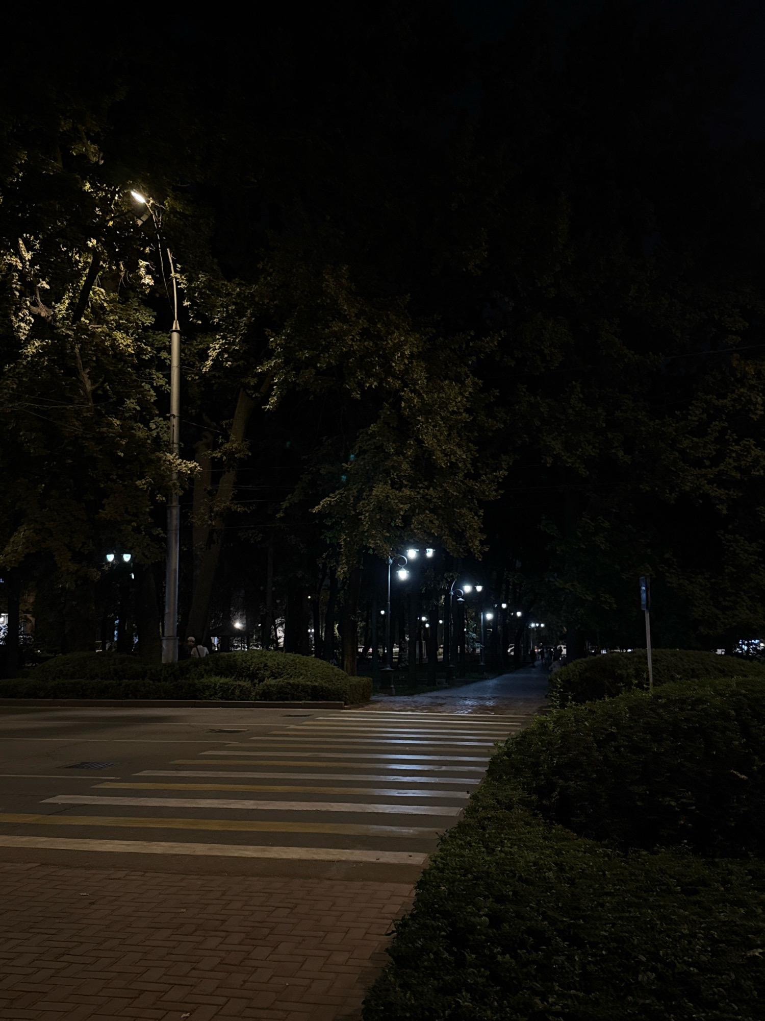 This image depicts a pedestrian crossing at night on a street in Bishkek, Kyrgyzstan, flanked by trees and illuminated by streetlights. The foreground shows a brick sidewalk and a wide crosswalk with white and yellow stripes. Beyond the crosswalk, a dimly lit street stretches into the distance, lined with manicured bushes and trees. Several streetlights cast a warm glow on the scene, highlighting the foliage and the road. In the background, a few figures are visible, appearing to walk along the street, their forms obscured by the darkness and the distance. The overall atmosphere is serene and quiet, characteristic of a city park or residential street after dark.