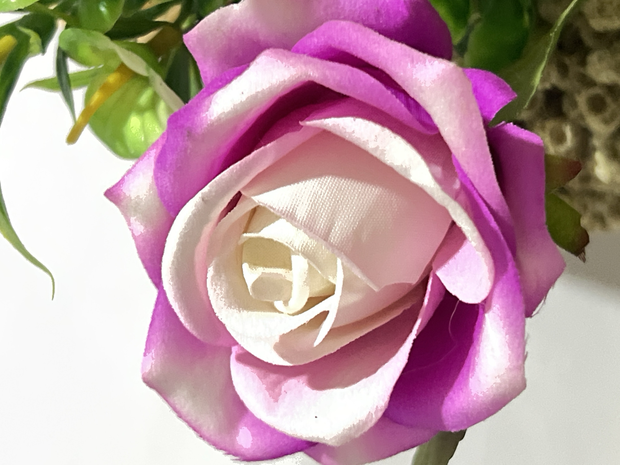 The image is a close-up photograph of a single, artificial rose with pink and white petals. The rose is in the center of the frame, with its petals unfurling from a creamy white center. The outer petals are a vibrant fuchsia pink with white edges, and they are slightly ruffled. There are some green leaves and a yellow stamen visible behind the rose. The background is a plain white surface, which helps to emphasize the rose. There is no indication of the city of Denpasar, Indonesia, or any other specific location in this image.