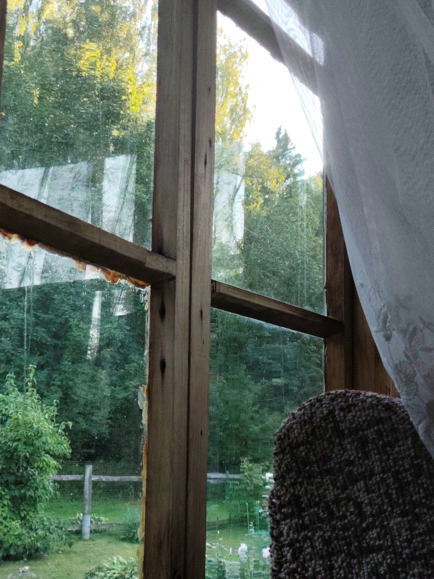 A first-person perspective shot looks out through a wooden framed window at a lush green forest. The window frame is roughly constructed and shows signs of wear, with some exposed wood and yellowing sealant. A sheer white curtain hangs on the right side of the window, partially obscuring the view. Outside, dense trees with a mix of green and yellow foliage fill the frame. A wooden fence can be seen in the distance, separating the forest from a grassy area. A portion of a dark, textured chair is visible in the lower right corner of the image. The lighting suggests it is daytime, possibly late afternoon, with sunlight filtering through the trees.