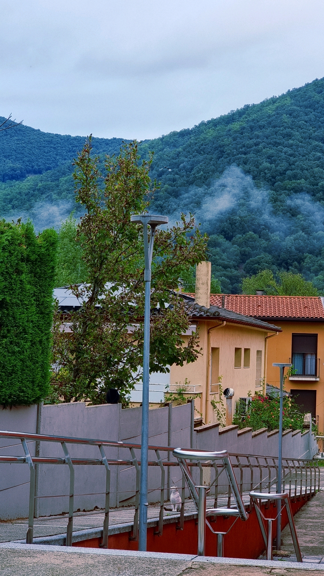 The image depicts a street scene in Sant Joan Les Fonts, Spain, characterized by a slightly overcast sky and a lush, green mountainside in the background. A dense forest covers the slopes, with wisps of white smoke or fog drifting across it. In the foreground, a paved walkway with a metal railing winds its way up a slight incline. Two streetlights are visible along the walkway. On the left side of the walkway, a tall, manicured green hedge stands next to a light-colored wall. Behind the hedge and wall, part of a building with a red-tiled roof is visible, along with trees. On the right side of the walkway, a section of a building with an orange-colored facade and a red-tiled roof is prominent. A white cat is sitting on the lower ledge of the railing near the center of the image, and a black cat is perched on the wall to the left, partially obscured by foliage. The overall scene suggests a residential area nestled in a natural, hilly environment.