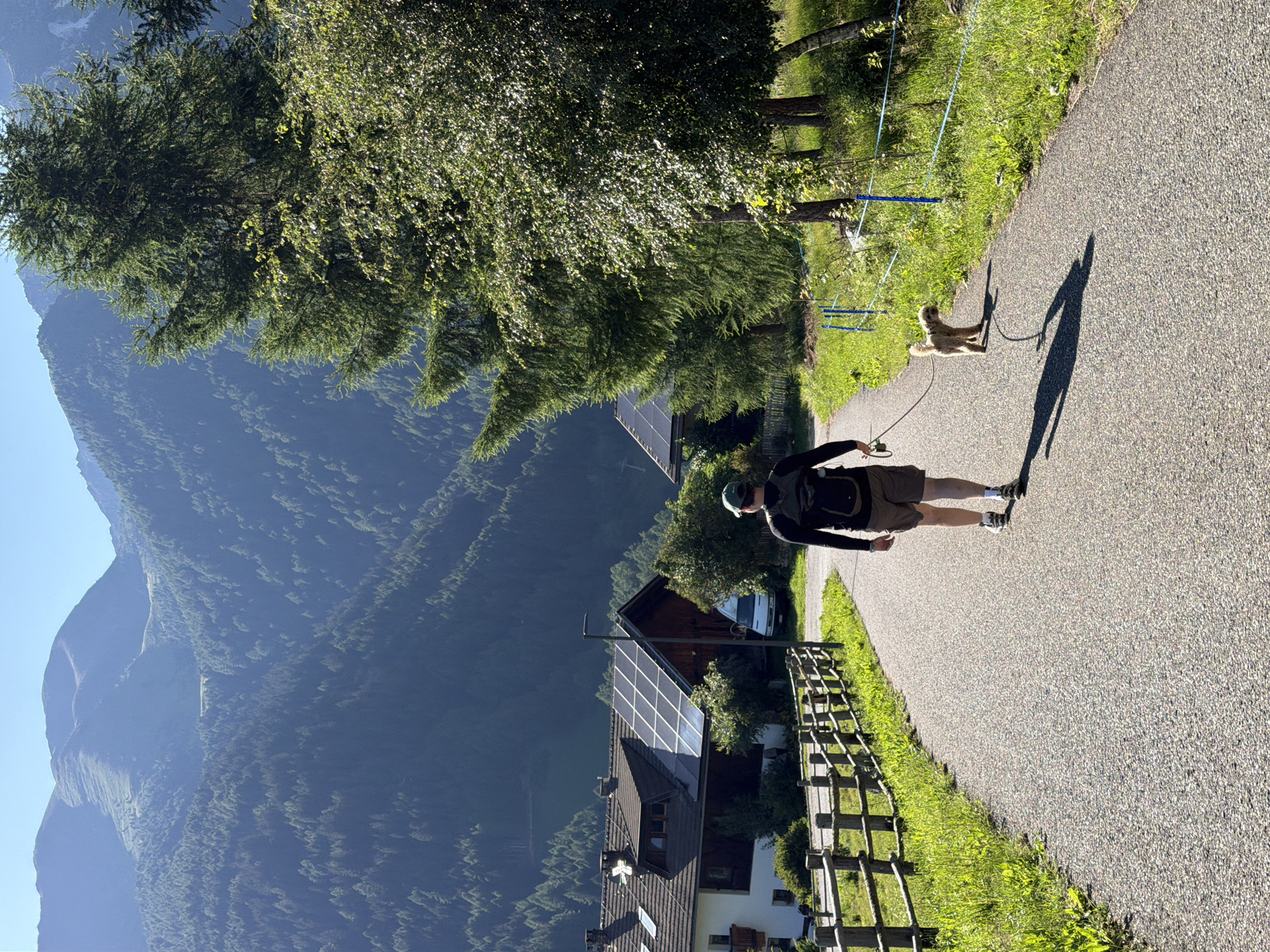 In Mühlbach - Rio di Pusteria, Italy, a person wearing a black long-sleeved shirt, brown shorts, a green baseball cap, and a black backpack walks on an asphalt path. The person is holding a leash attached to a small, light brown dog walking beside them. The path is bordered by a wooden fence on the left and grassy areas with trees and blue cord fencing on the right. In the background, there are houses with solar panels, a white van, and densely forested mountains under a clear blue sky. The sun casts long shadows across the path.