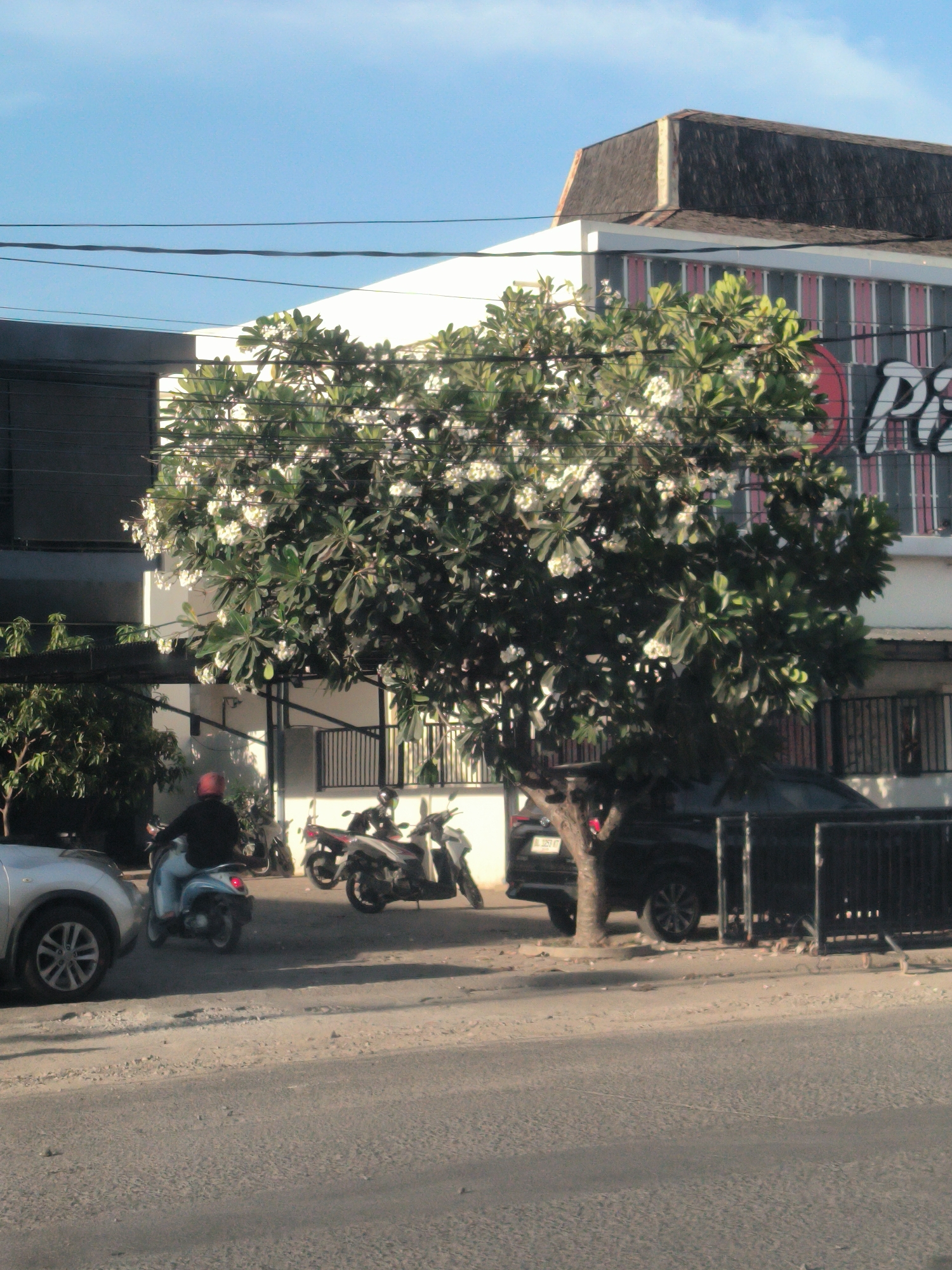 The image depicts a street scene in Lhokseumawe, Indonesia. A flowering tree is in the foreground. A silver car is parked on the left side of the street. A person on a scooter is driving away from the viewer. There are two motorcycles parked behind the scooter. A black car is partially visible behind the tree. A building is in the background with white and gray horizontal stripes and a gray roof. Overhead power lines are visible against a light blue sky.