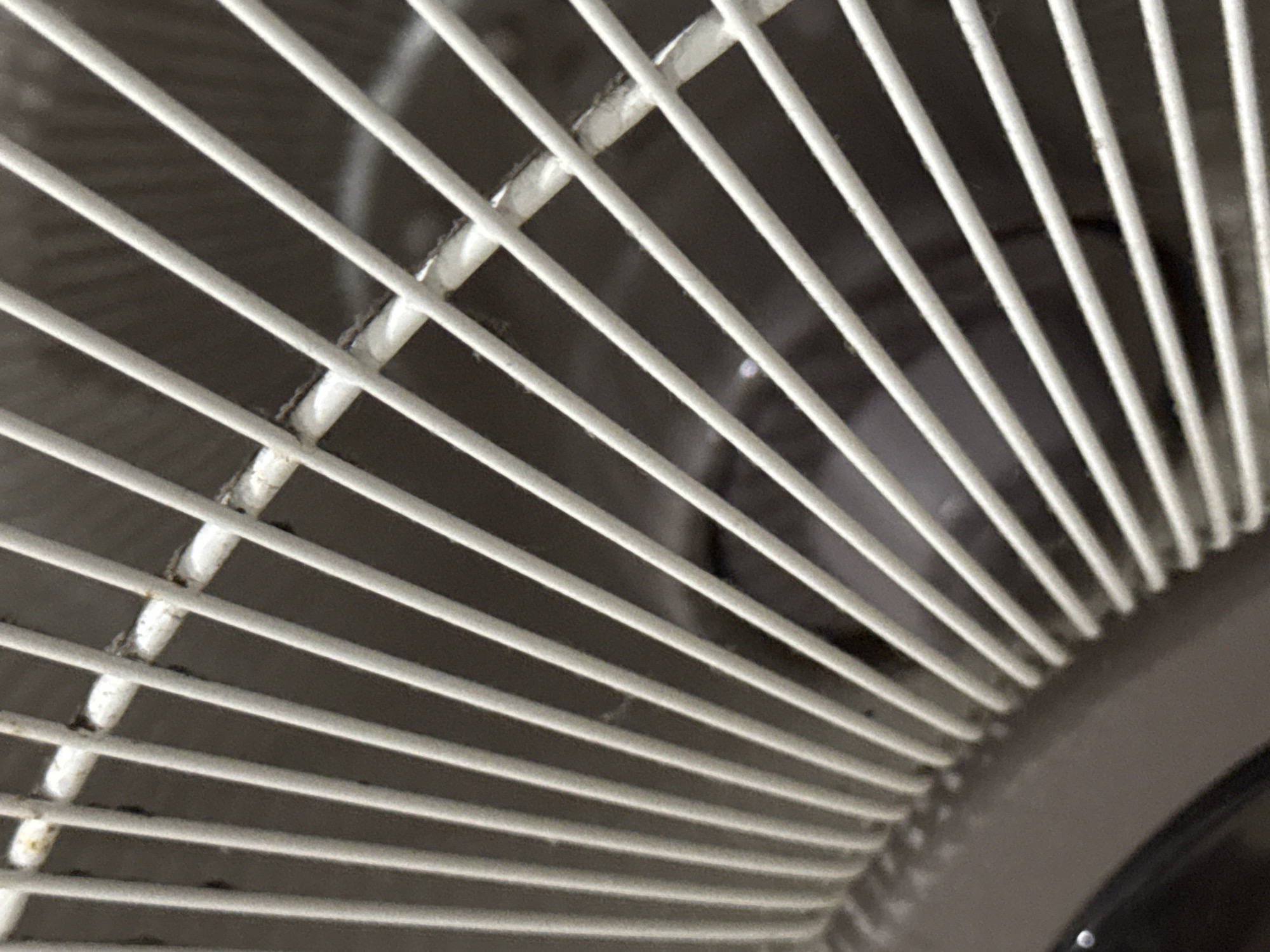 The image shows a close-up view of a white metal fan guard. The bars of the guard are arranged in a radial pattern, converging towards the center. Dust and grime are visible on the guard's surface, particularly at the joints where the bars are connected. The background is dark and blurred. The location is unknown.