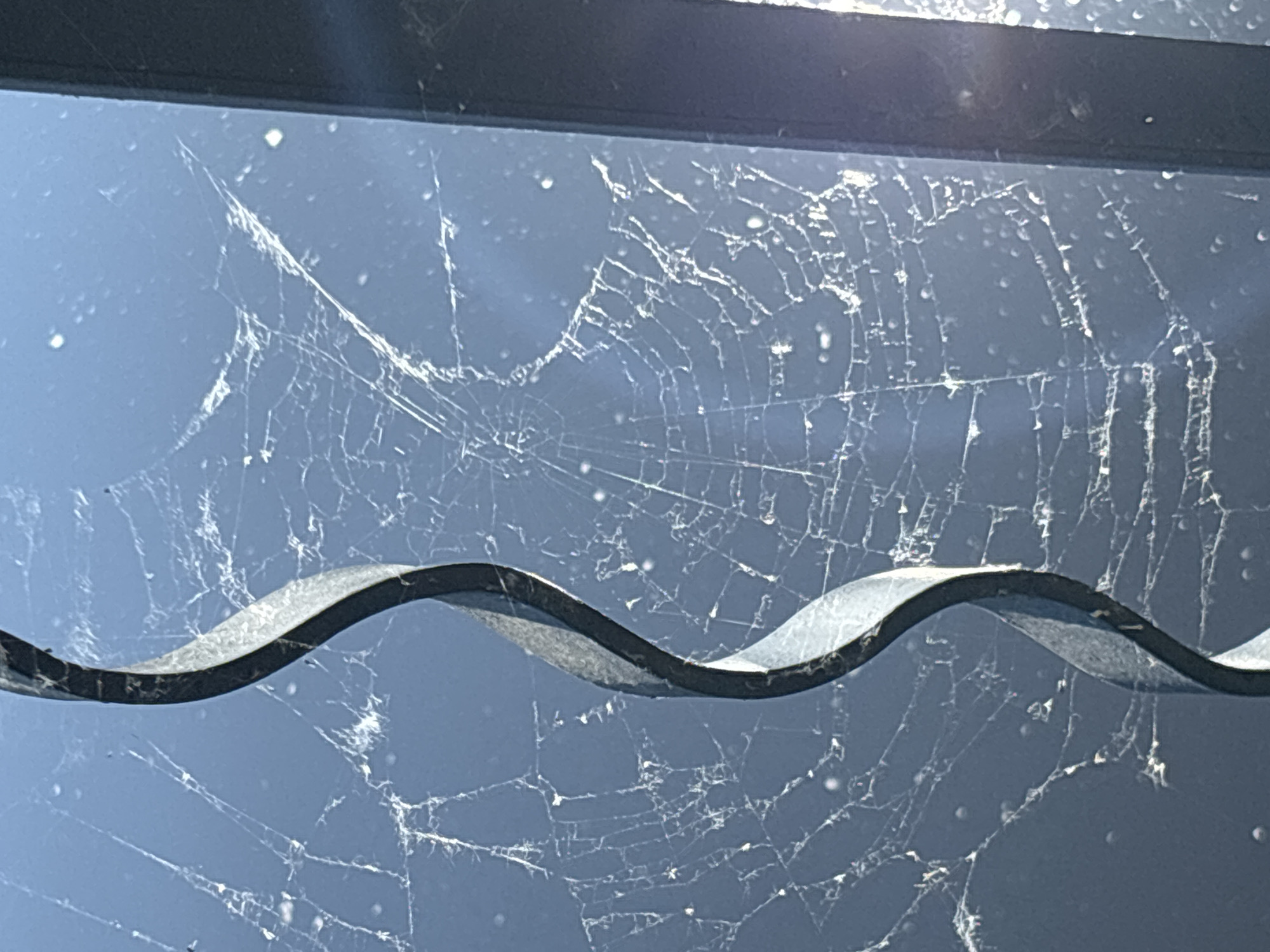 An outdoor close-up shot shows a dark, twisted metal bar that curves vertically down the left side of the frame. The bar is positioned in front of a spider web that is spread across a flat surface, possibly a window. The spider web is intricate and delicate, with fine threads radiating from a central point and forming a complex pattern. Some areas of the web appear dusty or damaged, with small white specks scattered throughout. The background is a deep blue, suggesting a sky or a dark, reflective surface. The lighting in the image is uneven, with bright highlights on the metal bar and some parts of the web, and darker shadows in other areas. The overall impression is one of a natural element, the spider web, interacting with a man-made object, the metal bar, in an urban or semi-urban environment. The location in the city of Chaikovsky, Russia, is not discernible from the image itself.