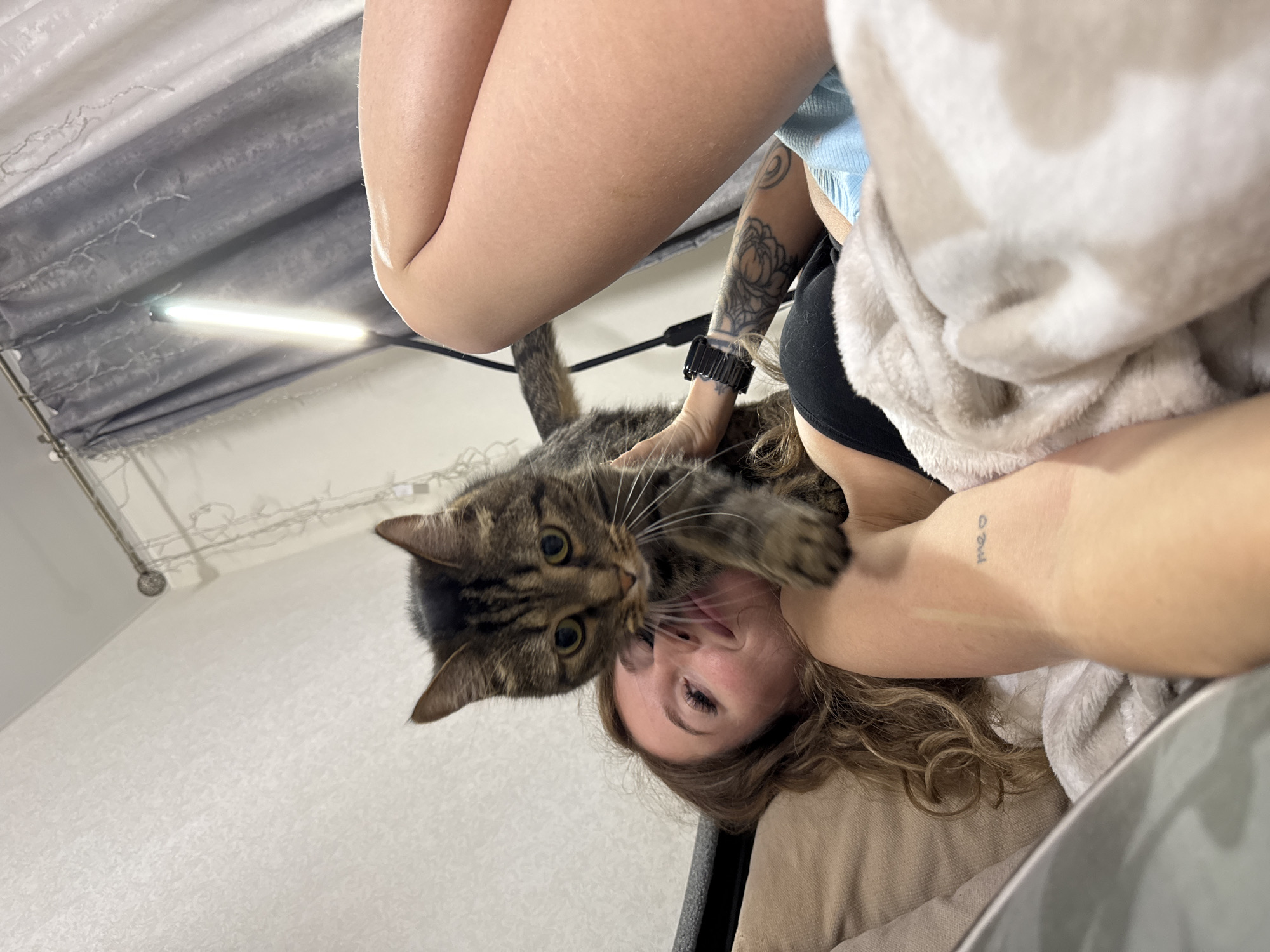 In Chaikovsky, Russia, a young woman with long, wavy brown hair lies on her back, looking up at the camera with a smile. Her head rests on a light brown pillow, and she is covered by a white and tan blanket. She is wearing a black sports bra and light blue shorts. A tabby cat is perched on her chest, its face close to hers, with its front paws resting on her collarbone. The cat has green eyes and is looking directly at the camera. The background shows a textured, light-colored wall with a string of fairy lights and grey curtains. A bright LED light bar is visible behind the curtains. The woman has tattoos on her left arm, including a floral design and a small outline of a cat with the word "meow" above it.