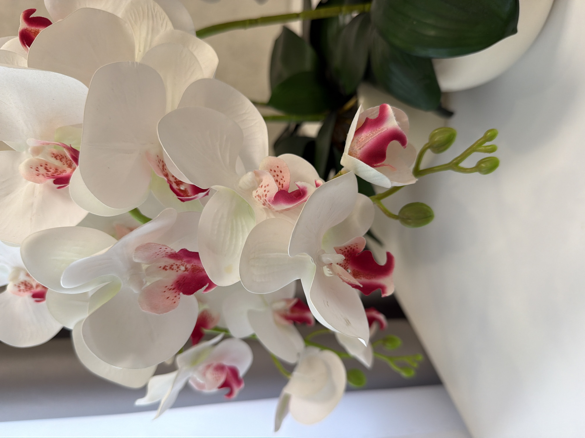 A close-up shot focuses on a cluster of white orchids with pink and magenta accents. The flowers are arranged on stems, with some fully bloomed and others in bud. The background is blurred, showing a grey curtain to the left and a white surface below. To the right, dark green leaves and a white pot are visible. The lighting is soft, highlighting the delicate texture of the orchid petals. The scene appears to be an indoor setting, possibly a home or a shop.
