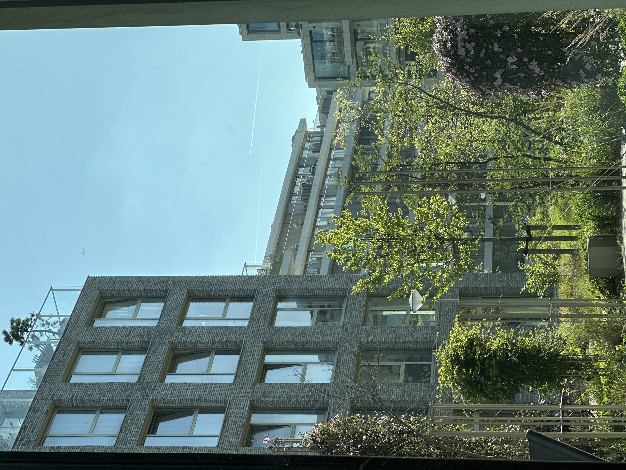 The image, taken in Amsterdam, Netherlands, depicts a bright, sunlit urban scene characterized by modern architecture and abundant greenery. The perspective is likely from a window or balcony, with a dark, horizontal frame partially visible at the very top edge of the image.
The upper-left portion of the frame features a clear, bright blue sky, through which a faint white airplane contrail streaks across. A small, dark, indistinct shape, possibly an aircraft, is also faintly visible in the sky.
Below the sky, on the left side, stands a multi-story building with a distinctive textured grey brick facade arranged in a grid pattern, housing numerous rectangular windows. On its upper-left side, a glass railing, possibly for a balcony or rooftop, encloses a small, green-needled tree.
In the mid-ground, towards the center and right, several contemporary high-rise buildings with lighter-toned facades and extensive glass windows and balconies are visible. Their sleek design contrasts with the more rustic texture of the brick building.
The lower and mid-right sections of the image are filled with lush, vibrant green foliage. Various trees with fresh spring leaves and dense bushes, some adorned with small pink or purple flowers, create a natural, verdant landscape. A light-colored metal fence or railing structure is partially visible amidst the greenery in the lower-right foreground. The scene suggests a modern urban environment that prioritizes green spaces, conveying a serene and pleasant daytime atmosphere. No visible text is present.
