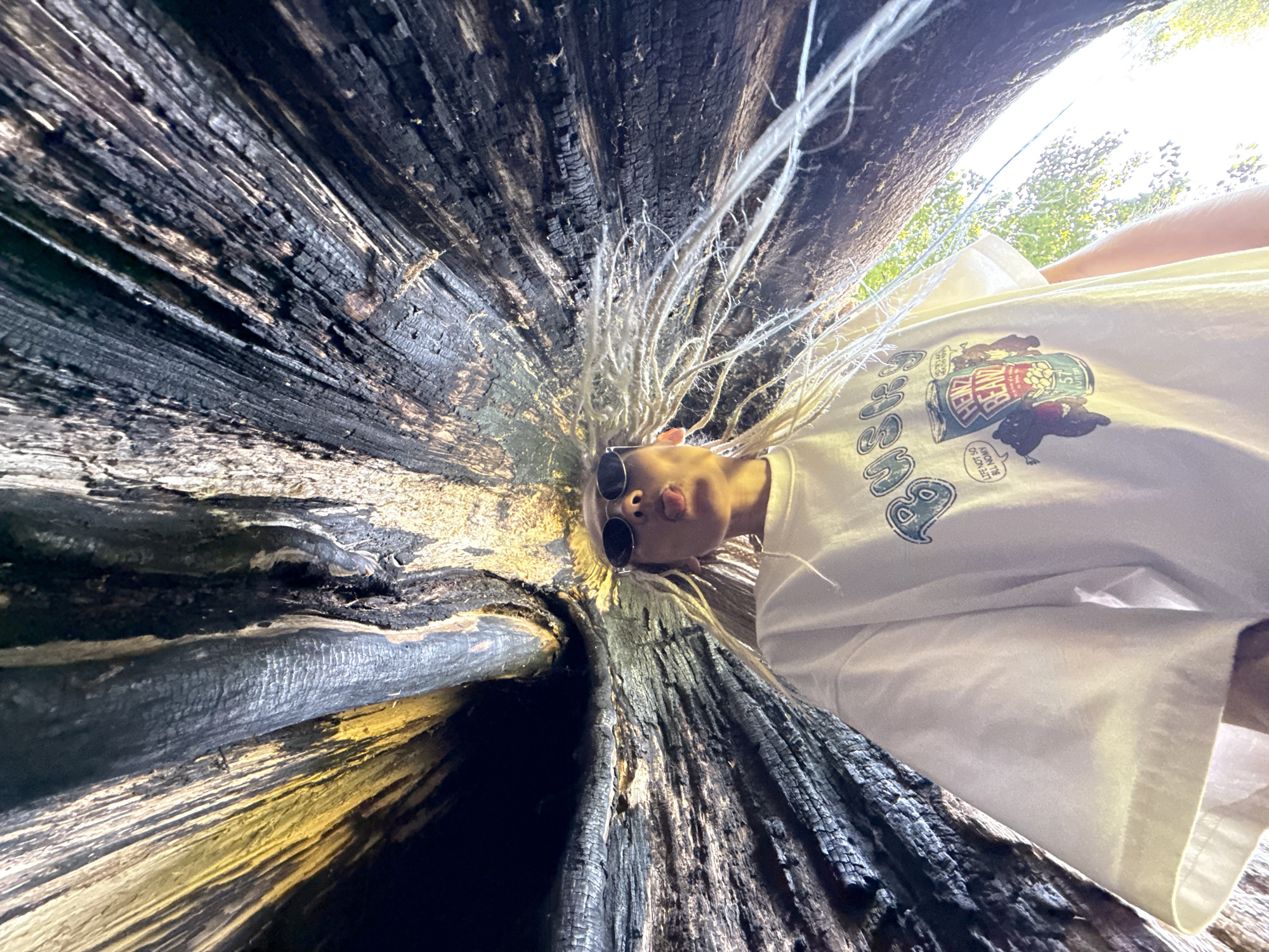 A low-angle, wide shot captures a person inside a large, burnt-out tree trunk. The person, wearing sunglasses and a white t-shirt with a graphic print, sticks their tongue out at the camera. Their blonde hair fans out around their head, appearing almost like a halo against the dark, charred wood of the tree's interior. The inside of the tree is textured with vertical lines and patches of black and golden-brown. Sunlight filters in from the opening at the top of the trunk, illuminating some of the wood grain and creating a bright contrast with the darker areas. The scene appears to be outdoors, possibly in a natural setting.