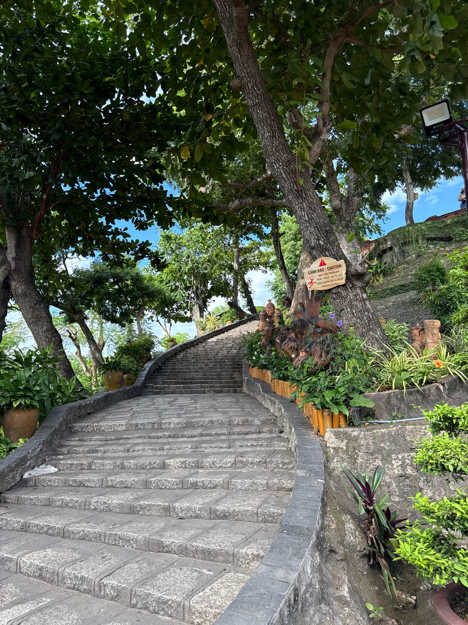 This image depicts a stone staircase winding upwards through a lush, green environment, characteristic of the historic Cham towers complex, likely Po Nagar Cham Towers, in Nha Trang, Vietnam. The stairs are constructed from weathered gray stone blocks, with a slightly curved design and a dark gray stone railing. To the left of the stairs, large terracotta pots contain dense green foliage.
On the right side of the staircase, the terrain slopes upwards, with a retaining wall made of rough stone. This wall is adorned with potted plants and decorative ceramic artifacts, including tiered pottery and several sculptures resembling stylized figures or vessels. A prominent wooden sign with red and yellow text is attached to a large tree trunk on the right, warning in Vietnamese and English: "CAUTION - STEPS MAY BE SLIPPERY AND EASY TO FALL."
The environment is filled with mature trees providing a canopy of green leaves, some of which are illuminated by sunlight filtering through. The sky is visible in patches, appearing blue with some scattered clouds. A modern LED floodlight is mounted on a pole above the trees on the far right, suggesting the area is illuminated at night. The overall scene conveys a sense of ancient history and natural beauty, with elements of caution for visitors navigating the uneven terrain. No people are visible in the frame.