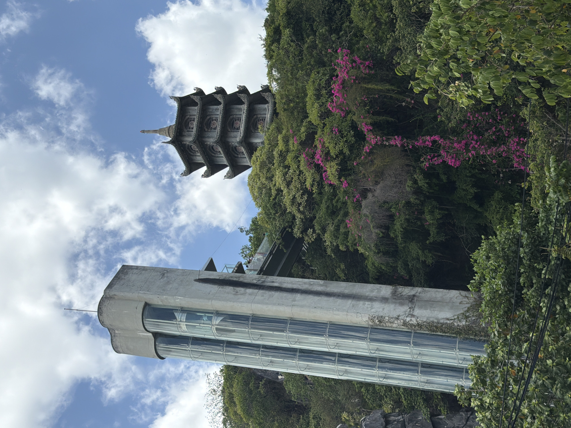 The image captures a scenic view of the Marble Mountains in Đà Nẵng, Vietnam. In the foreground, a concrete elevator tower with glass enclosures stands prominently, its stark modern architecture contrasting with the natural landscape. A walkway extends from the tower, leading towards a lush, green mountainside.
Dominating the mid-ground is a multi-tiered pagoda, a traditional Vietnamese Buddhist temple, perched atop the verdant slope. Its intricate, dark grey architecture, with curved roof eaves and ornate details, signifies a significant cultural and spiritual landmark. Vibrant pink bougainvillea flowers cascade down the hillside, adding a splash of color and softening the rugged terrain.
The background is filled with a bright blue sky dotted with fluffy white clouds, suggesting pleasant weather. The entire scene is enveloped by dense, green foliage, characteristic of a tropical environment. The composition highlights the blend of man-made structures and natural beauty that defines this popular tourist destination.